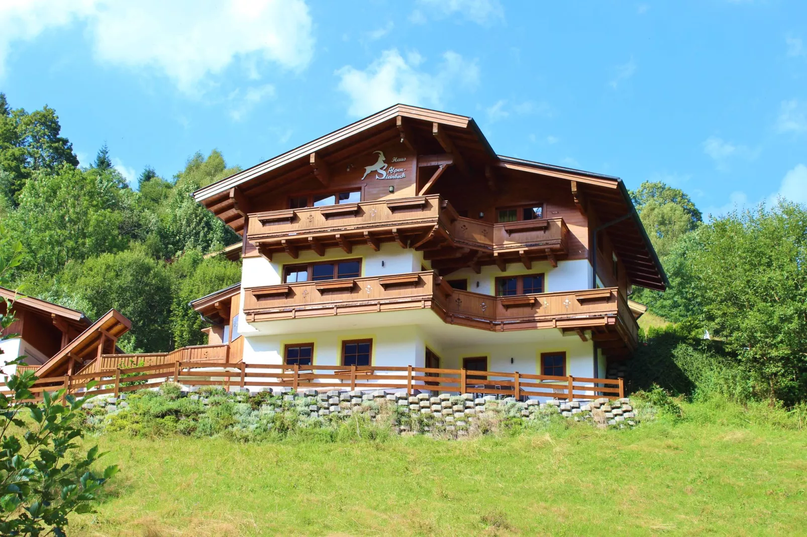 Alpensteinbock Saalbach C-Exterior summer