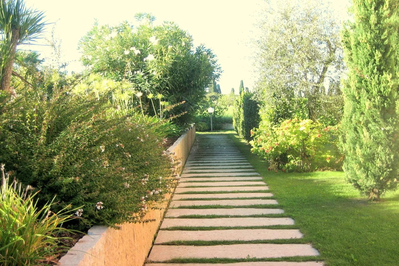 Camelie Ventitre-Gardens summer