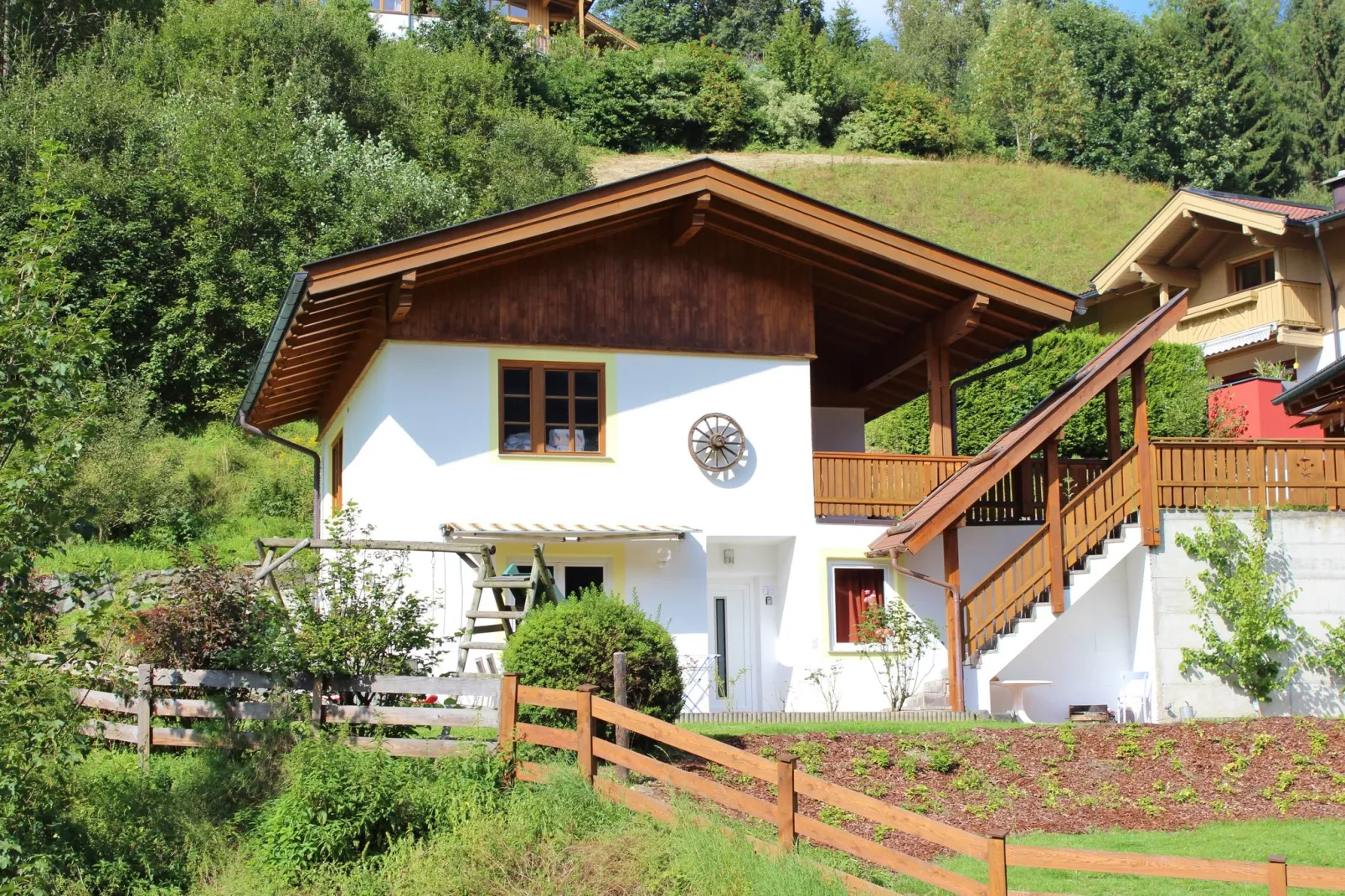 Alpensteinbock Saalbach D-Exterior summer