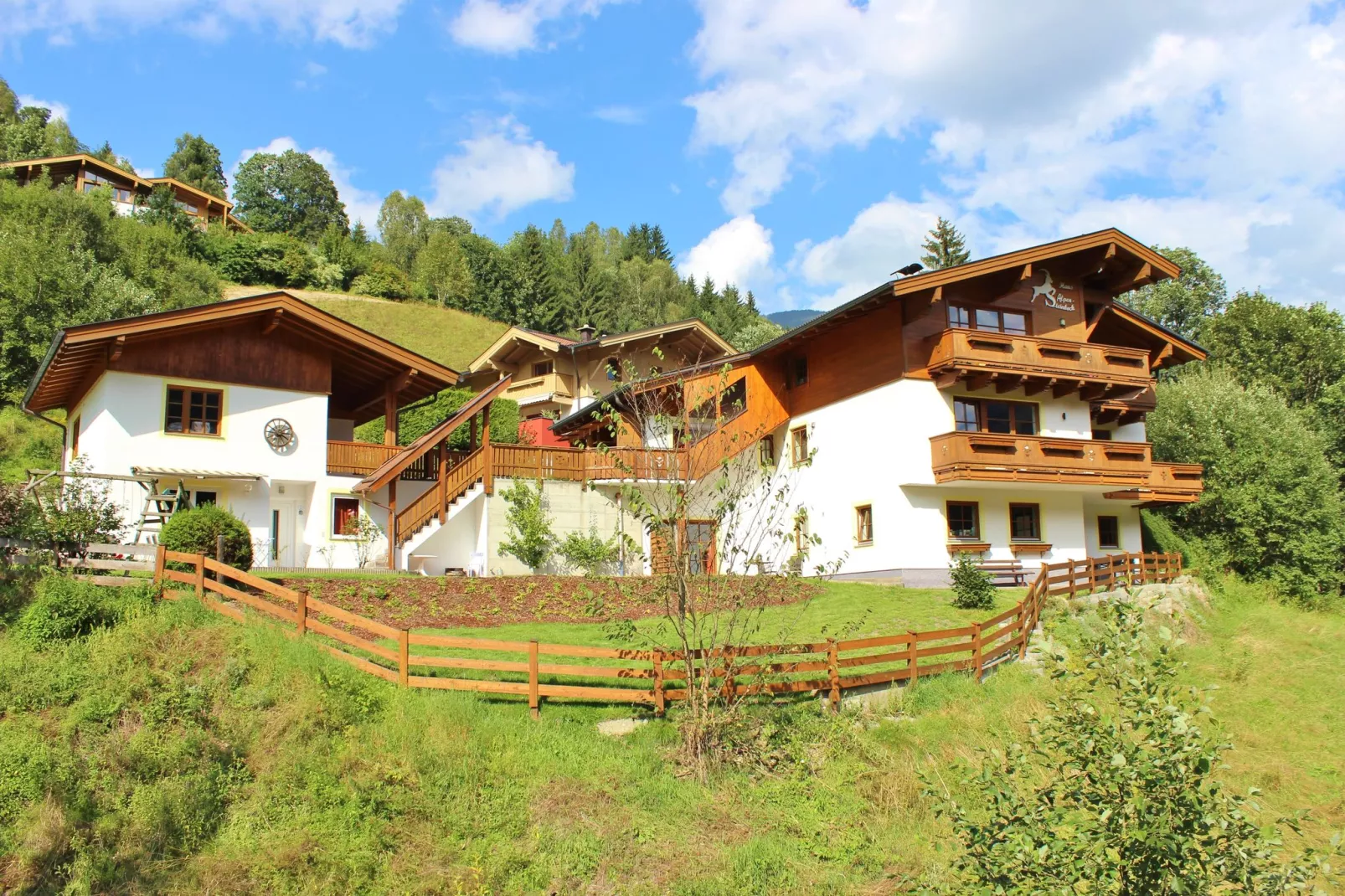 Alpensteinbock Saalbach D-Exterior summer