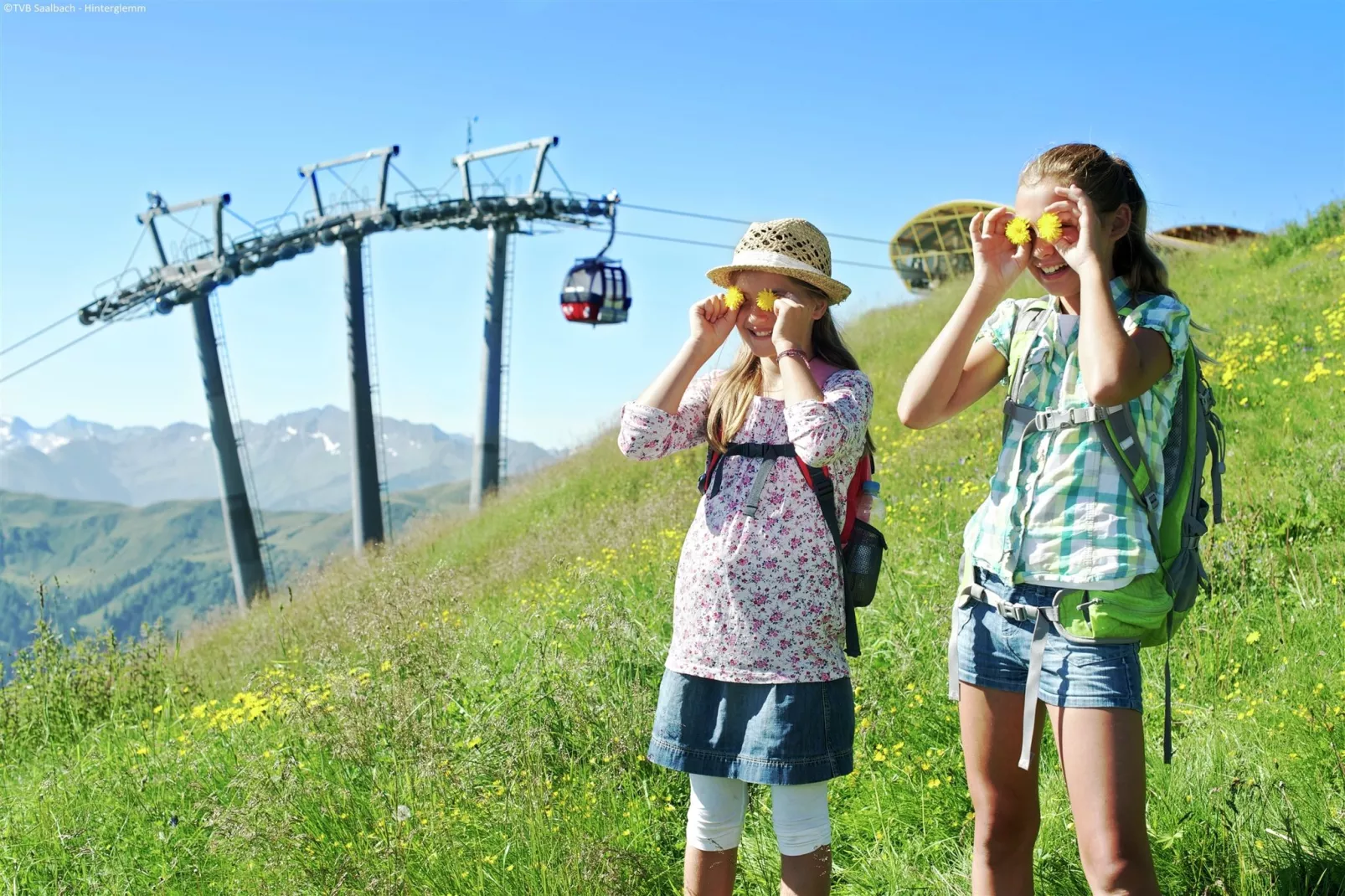 Alpensteinbock Saalbach D-Areas summer 5km