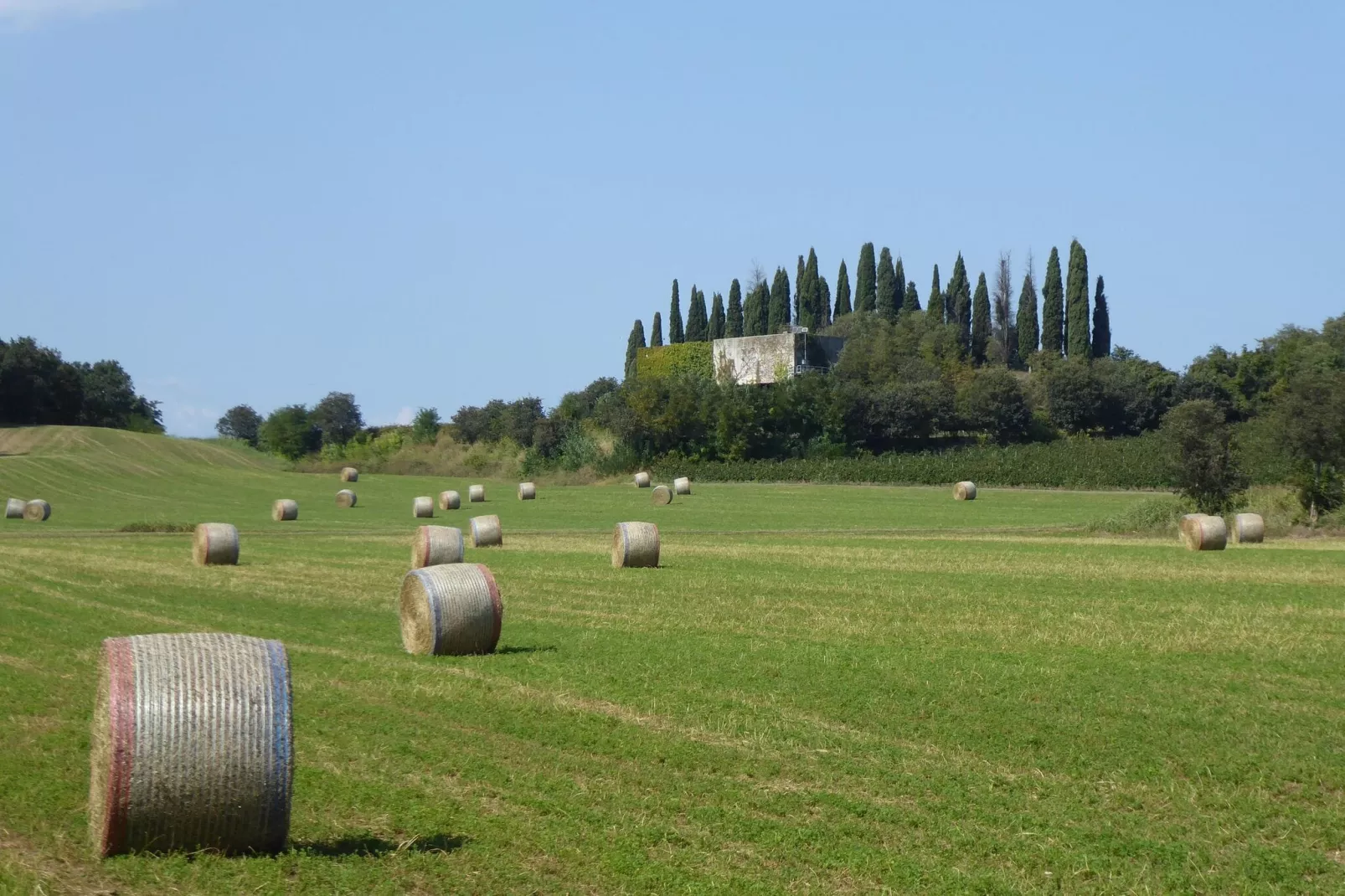 Ronzo Chienis-Areas summer 20km