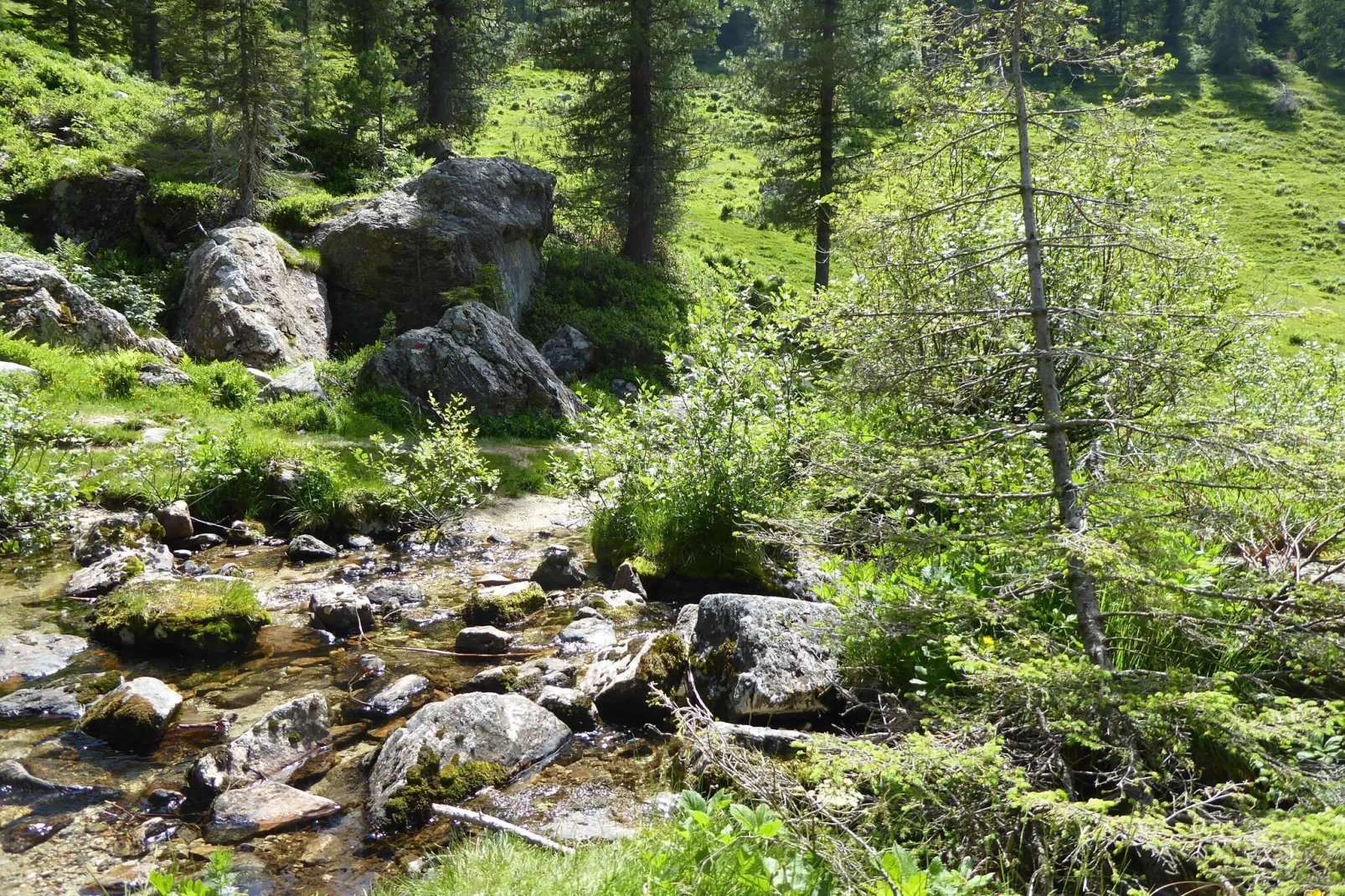 Ronzo Chienis-Areas summer 20km