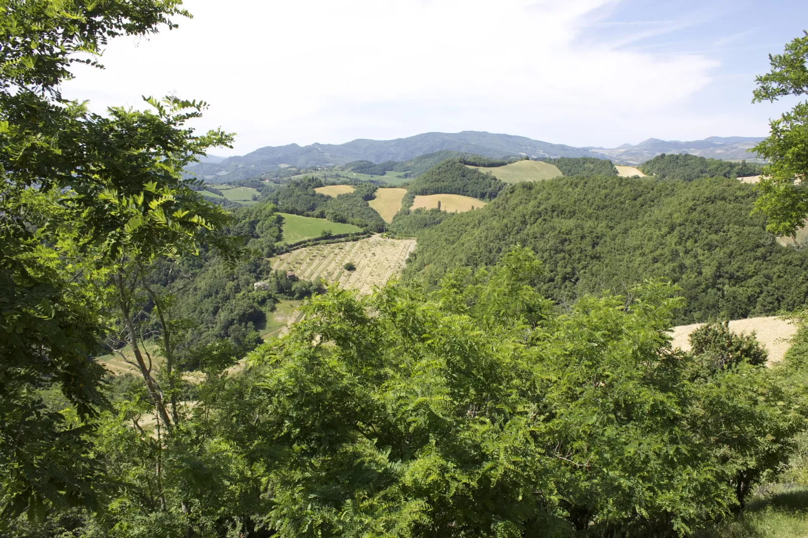 Gesso Piccolo-View summer