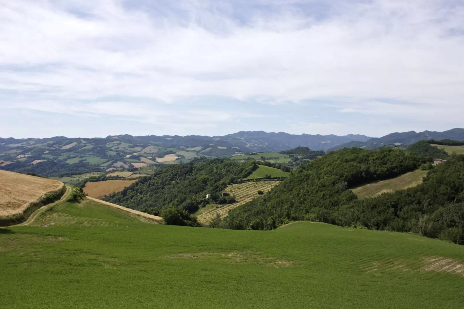 Gesso Piccolo-Areas summer 1km