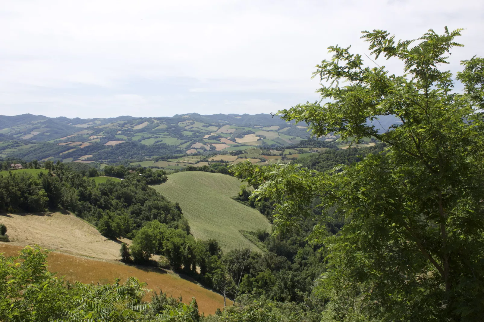 Gesso Piccolo-Areas summer 5km