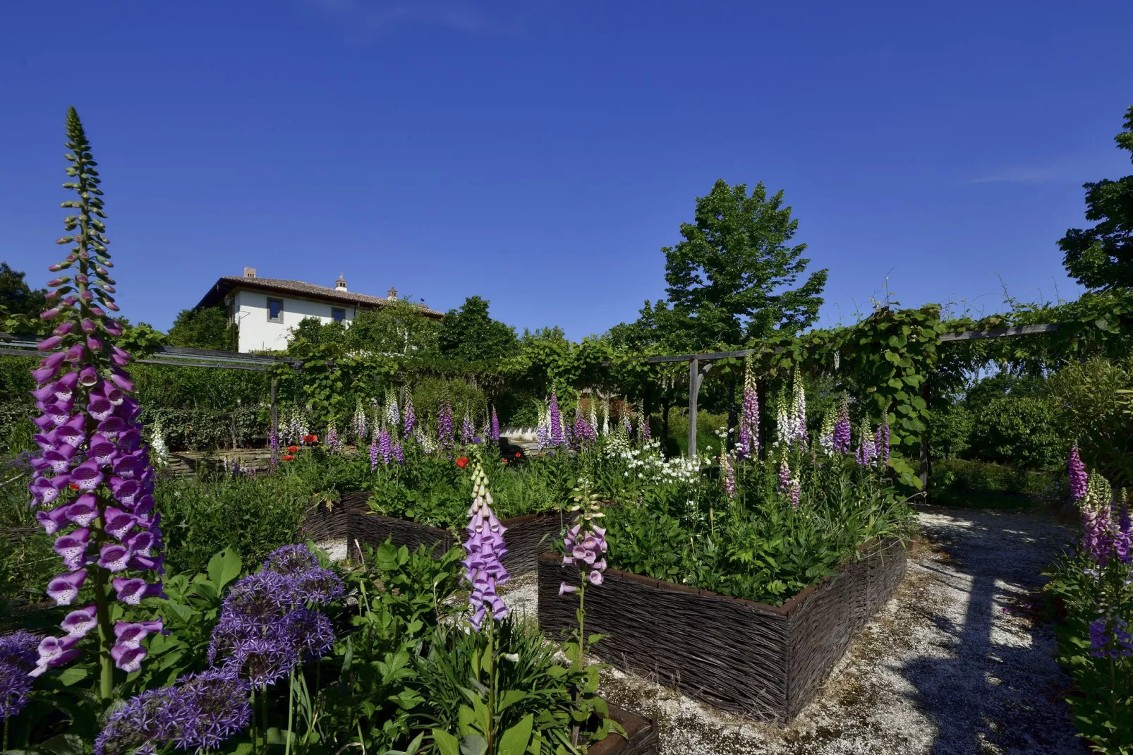 Villa Amagioia Residenza alberghiera-Gardens summer