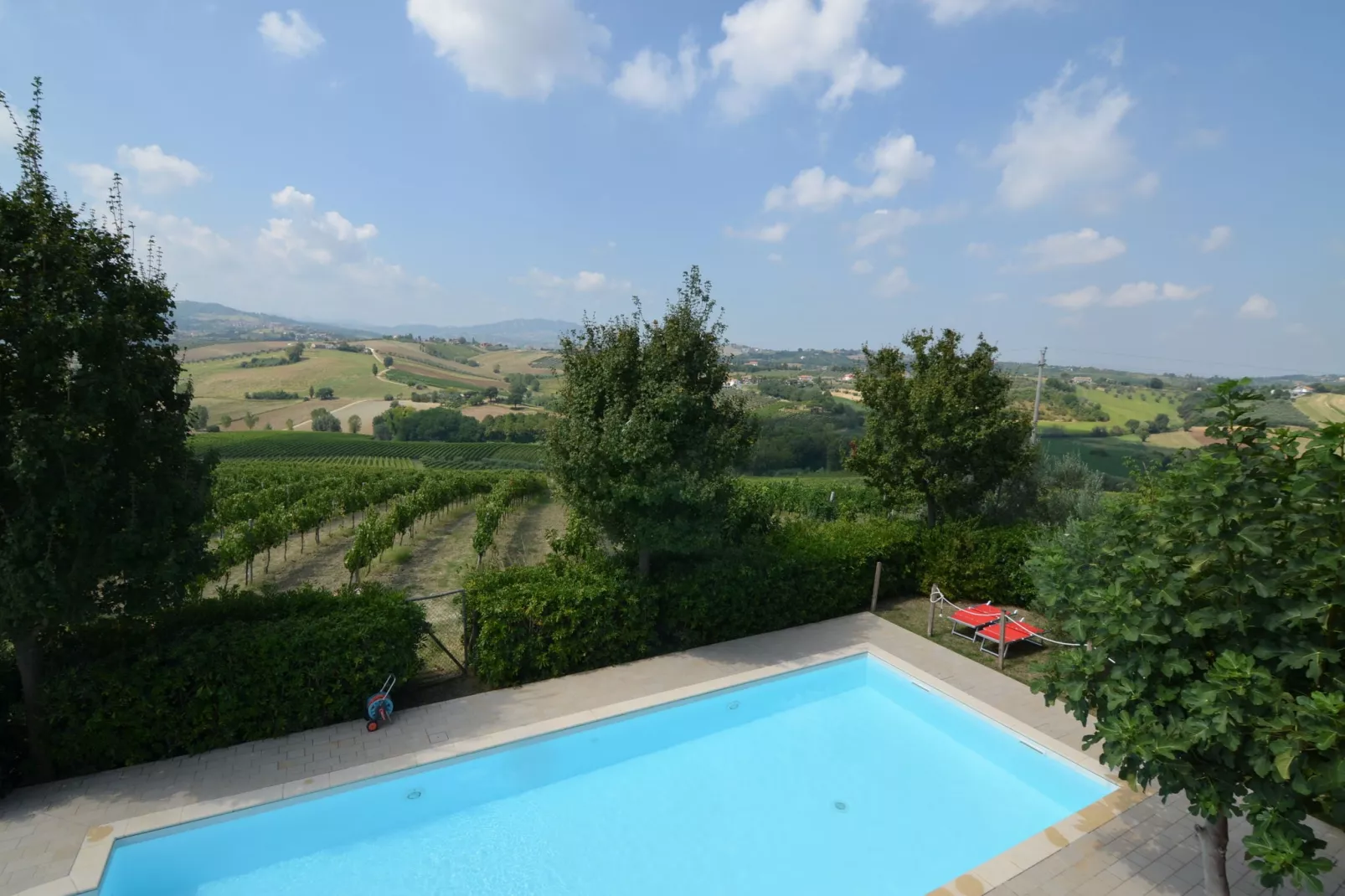 Fratello Campo-Pool