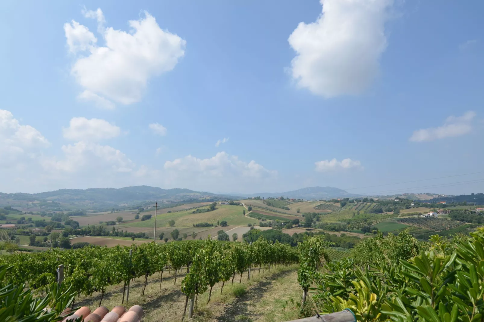Fratello Campo-View summer