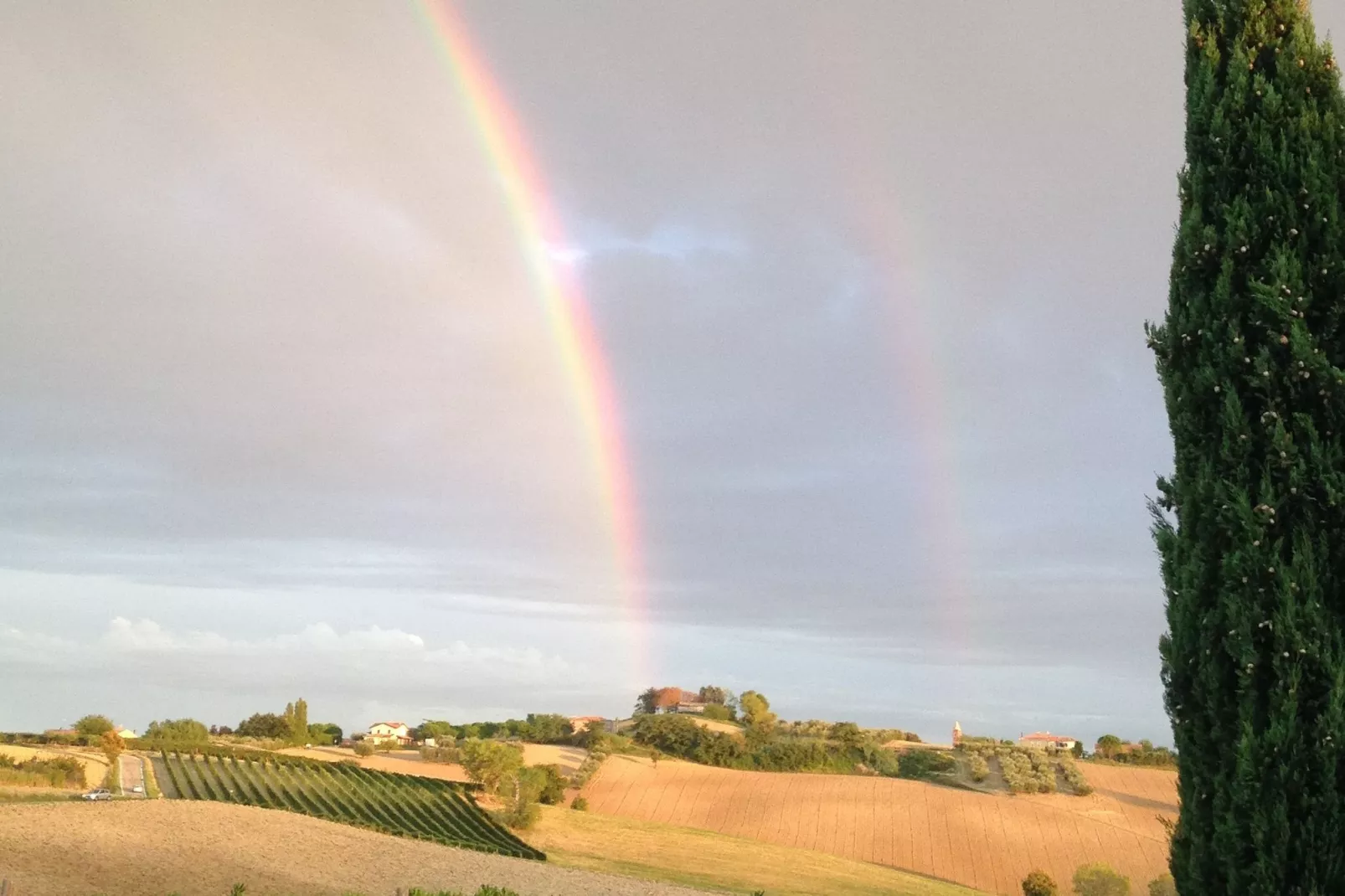 Fratello Campo-View summer