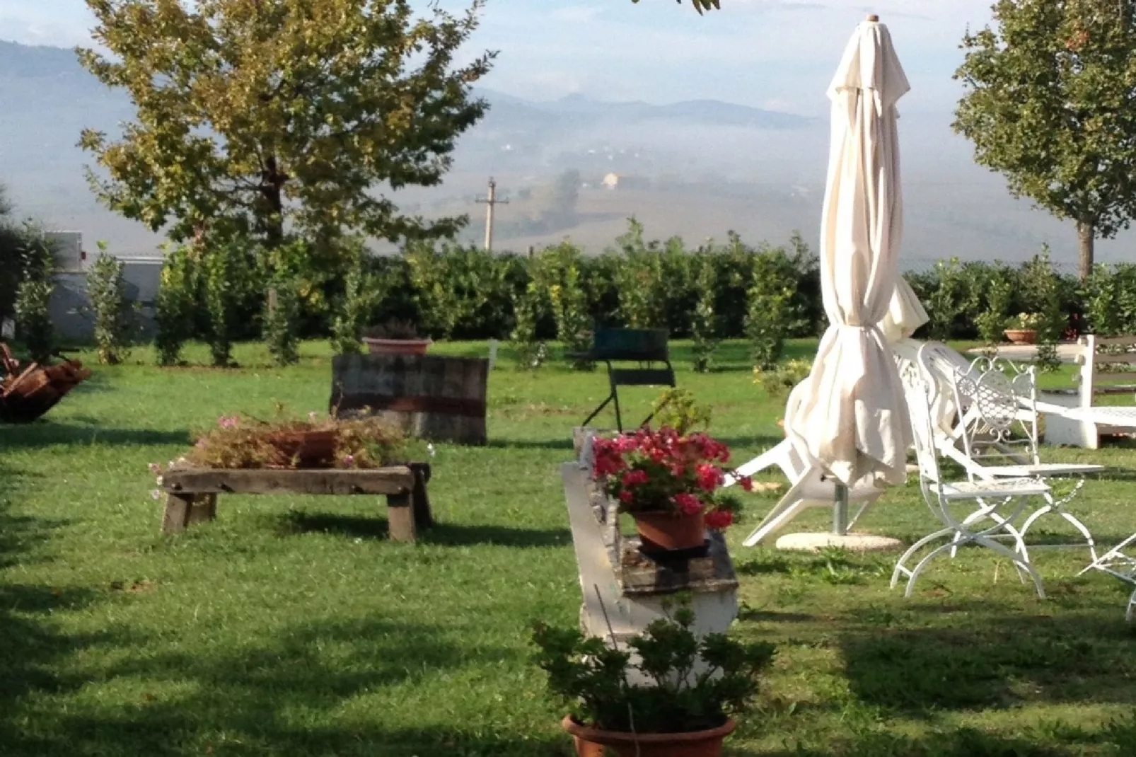 Sandro-Gardens summer