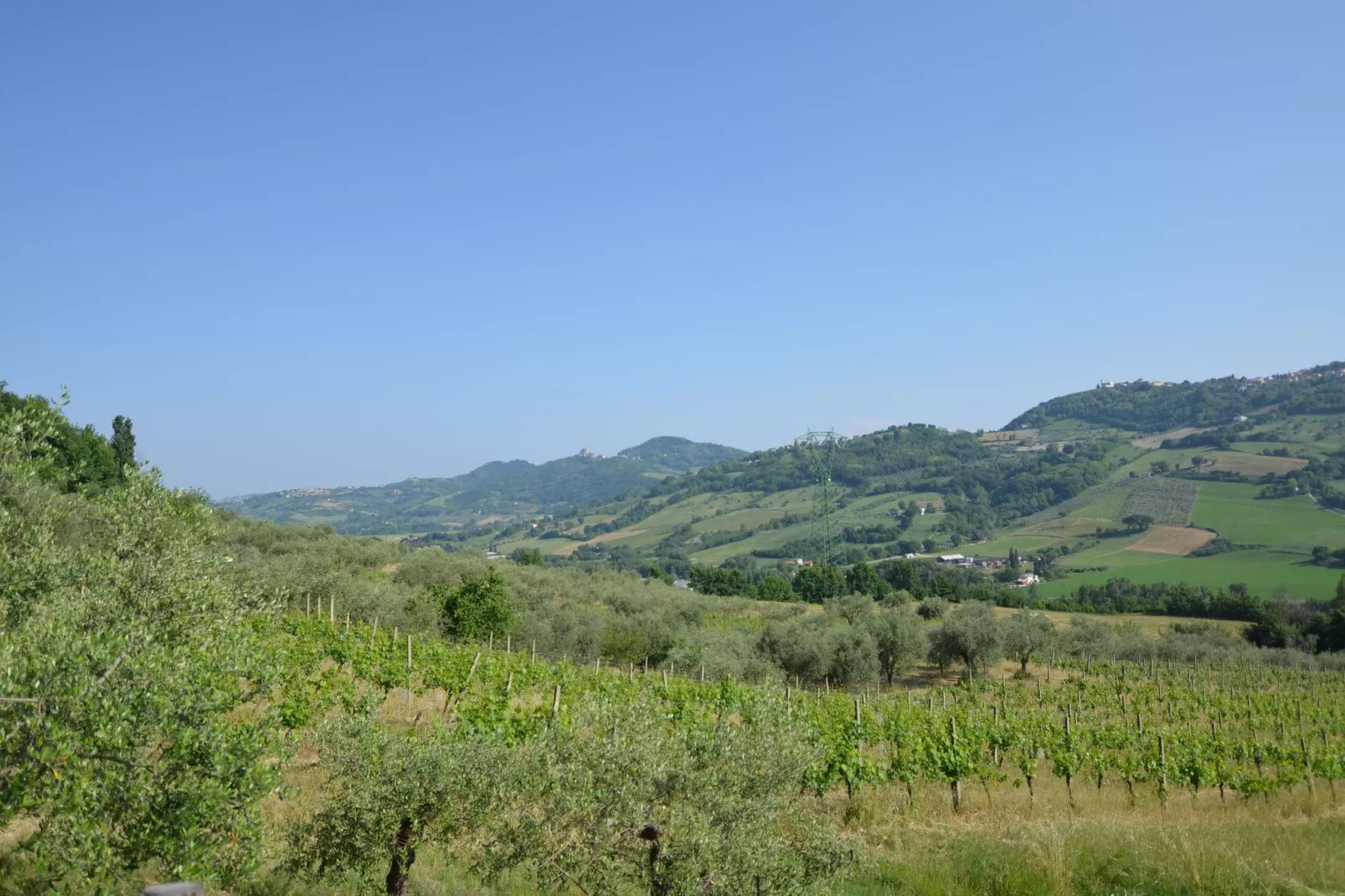 Casa Uva-View summer