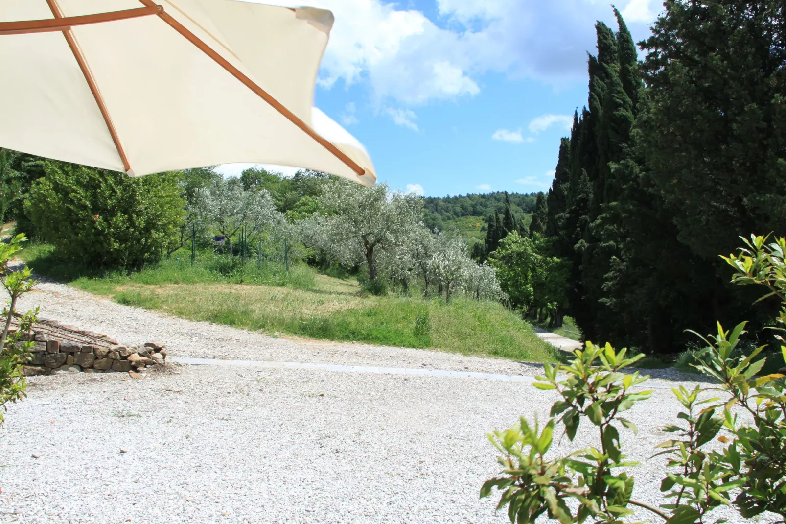 Le Olive-View summer