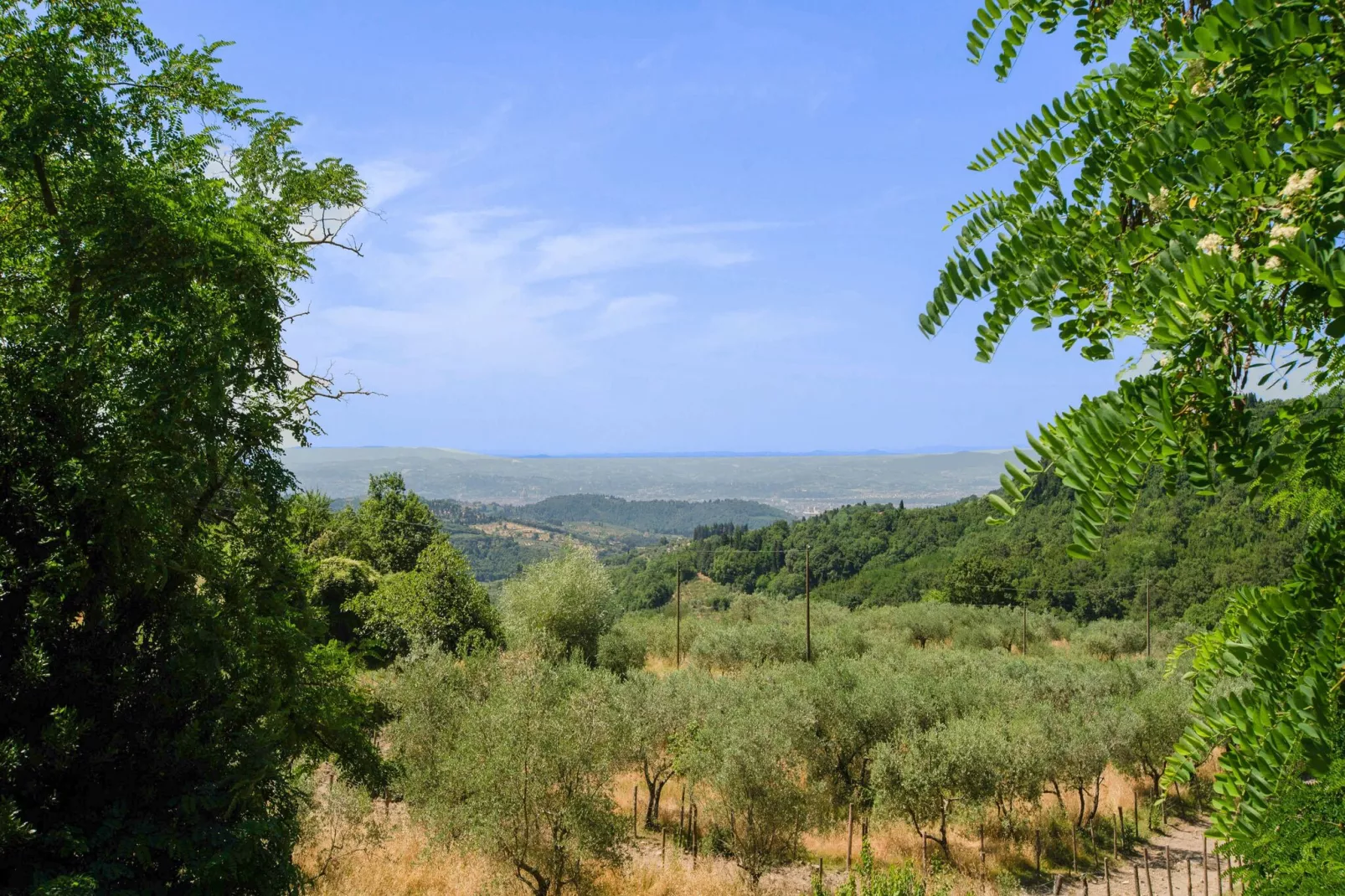 I Tini-View summer