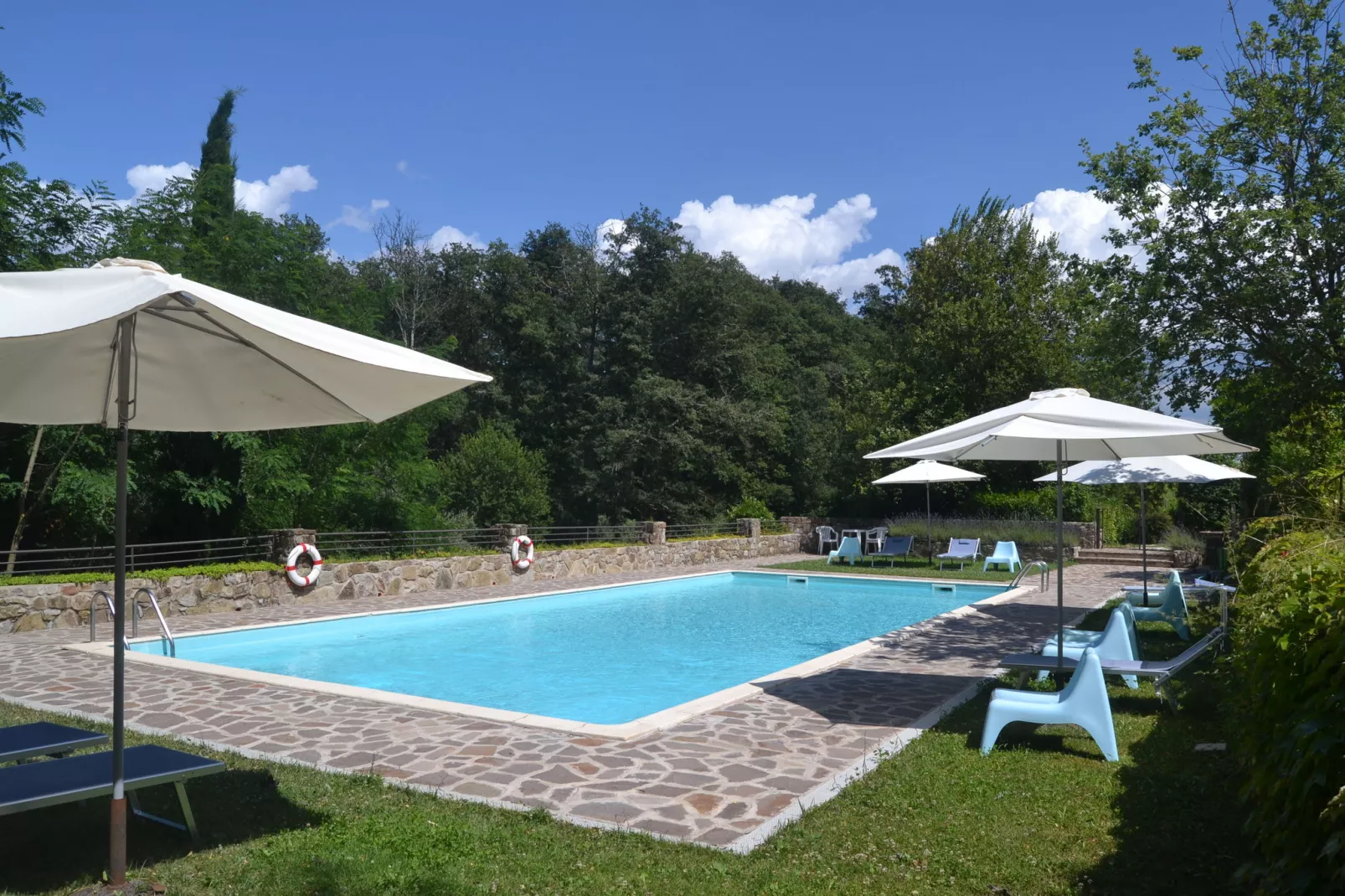 Lobelia-Pool