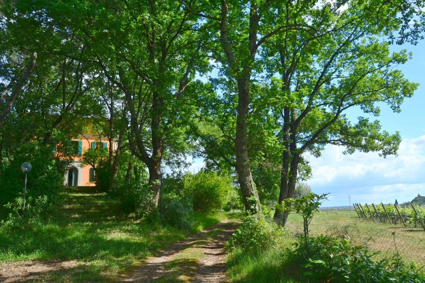 Sopra Nisa-Gardens summer