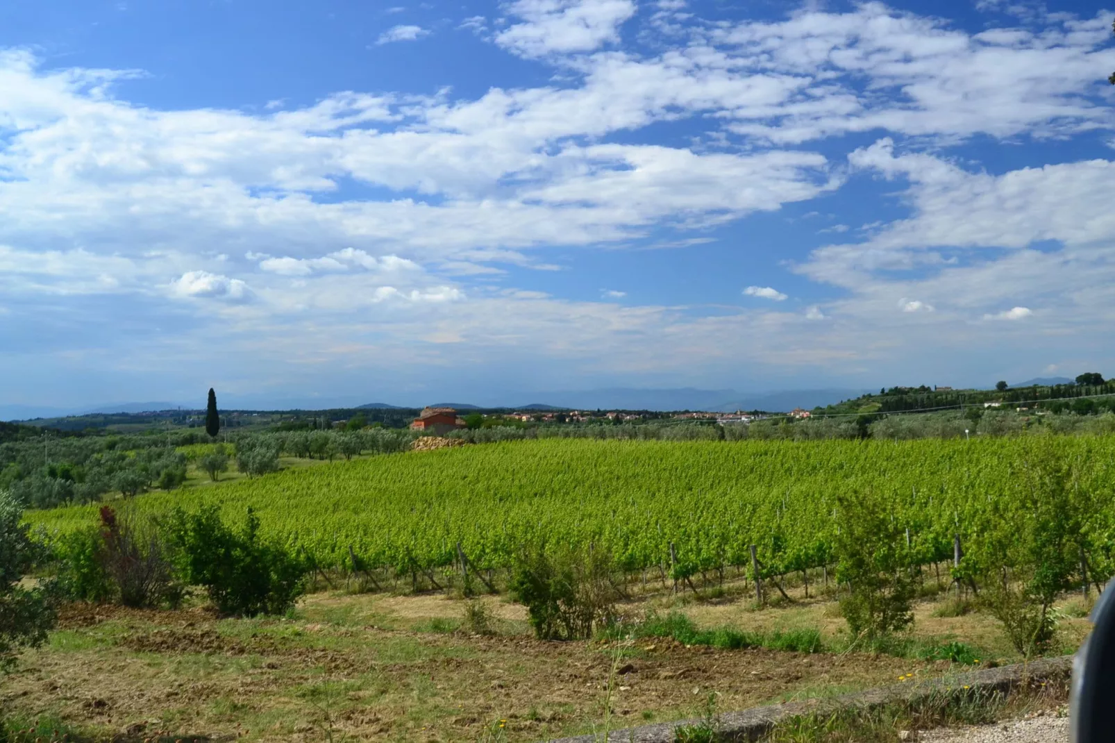 Sopra Nisa-Areas summer 1km