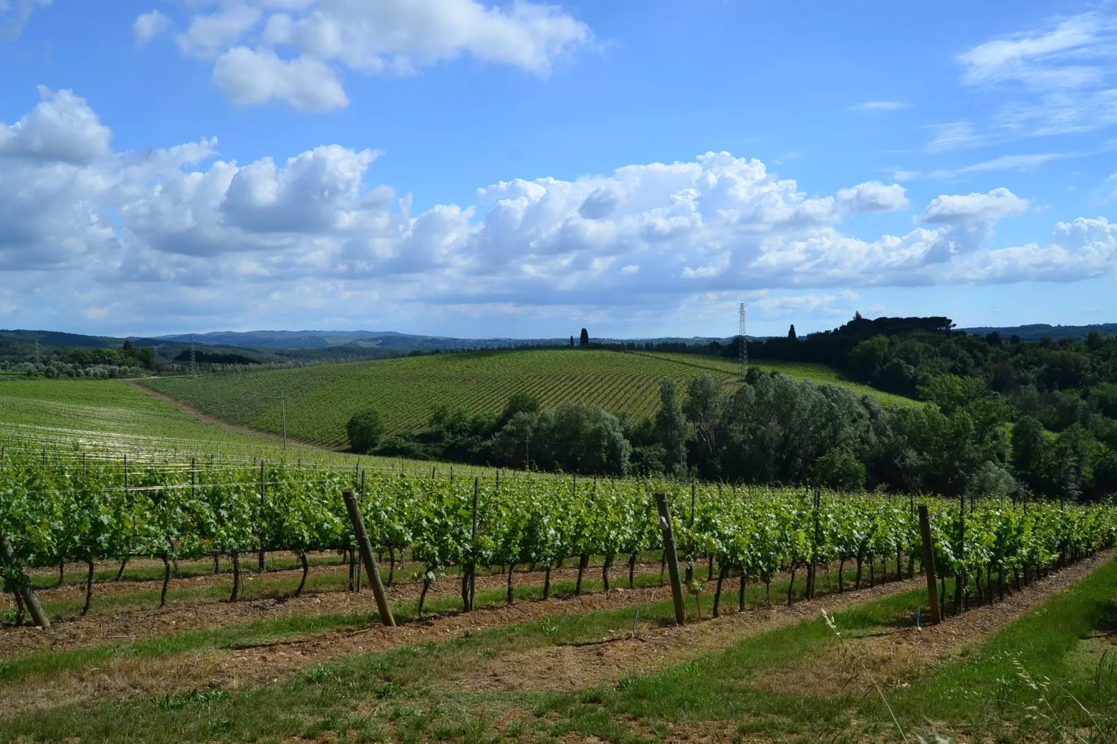 Terra Nisa-View summer
