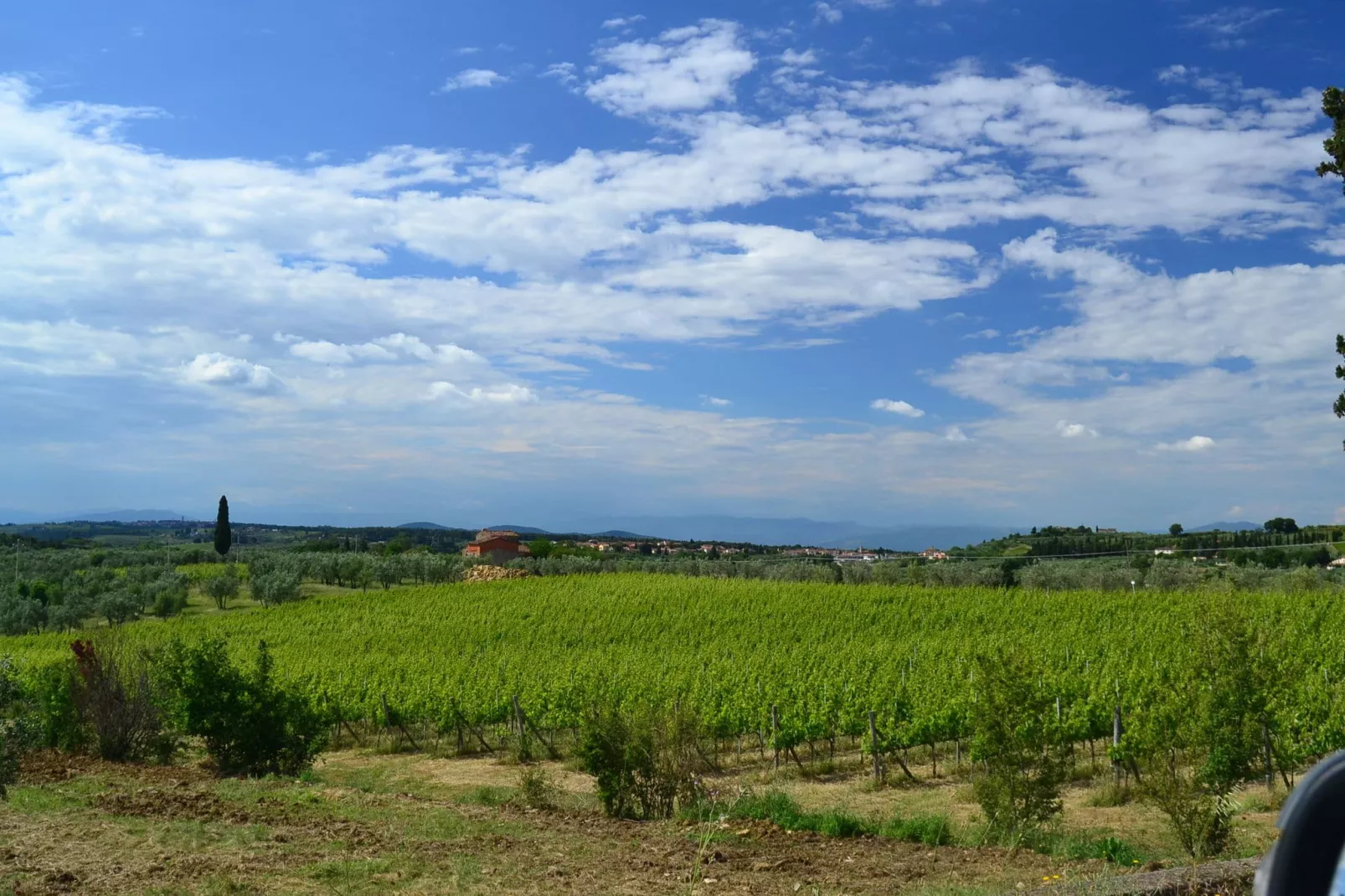 Terra Nisa-View summer