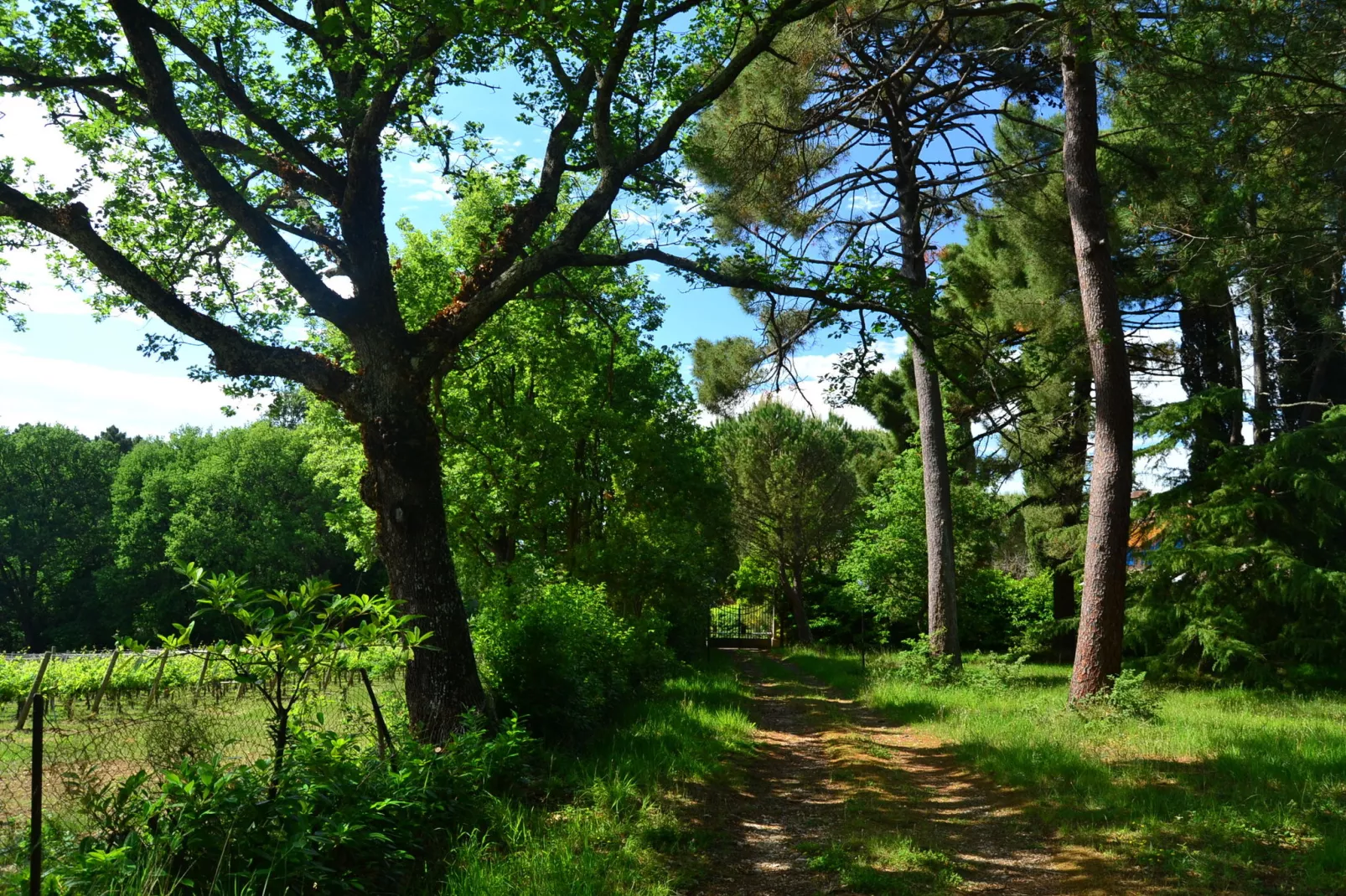 Terra Nisa-Gardens summer