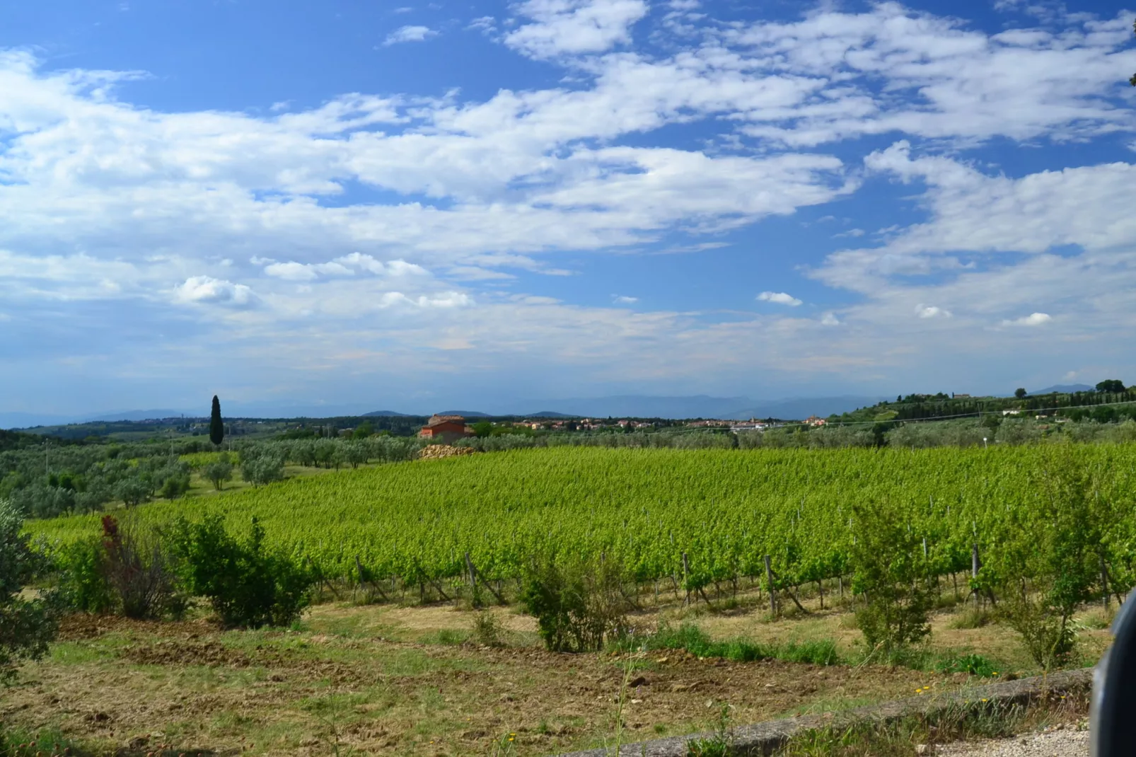 Terra Nisa-Areas summer 1km