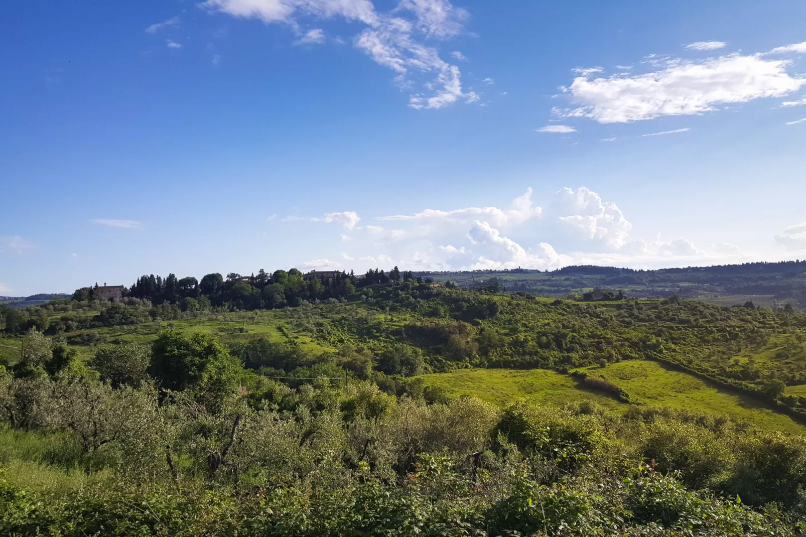 Primrose-Areas summer 20km