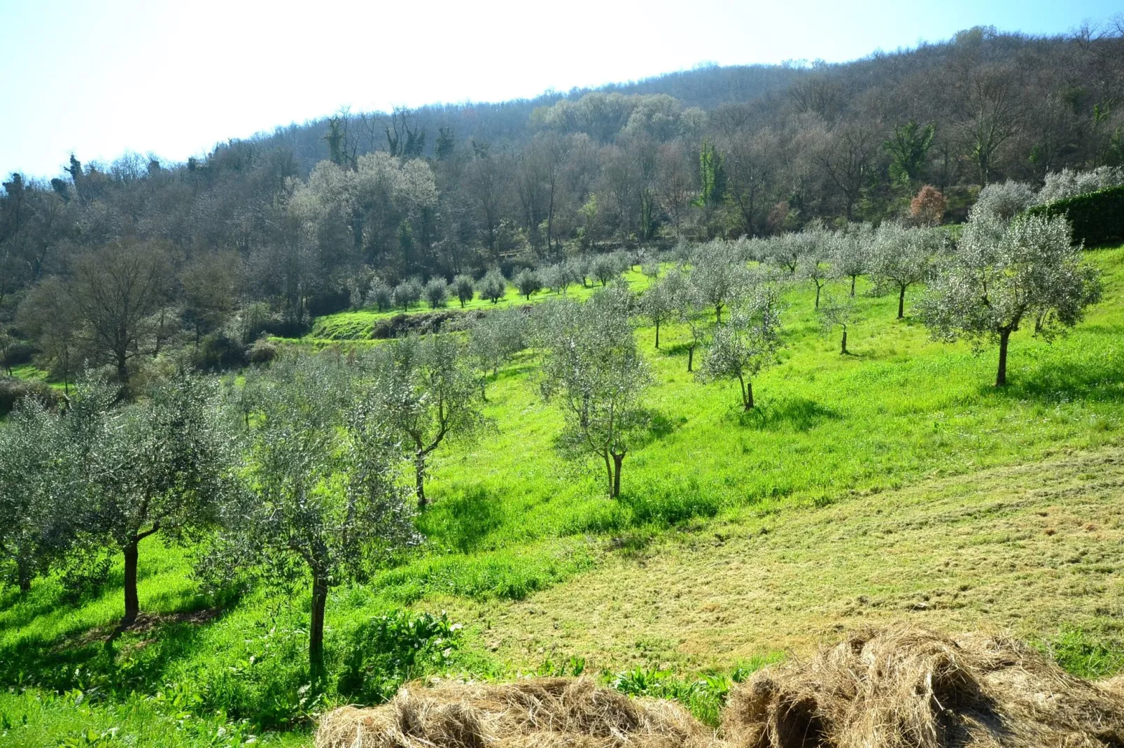 Villa Eugenia-Zones d'été à 5 km