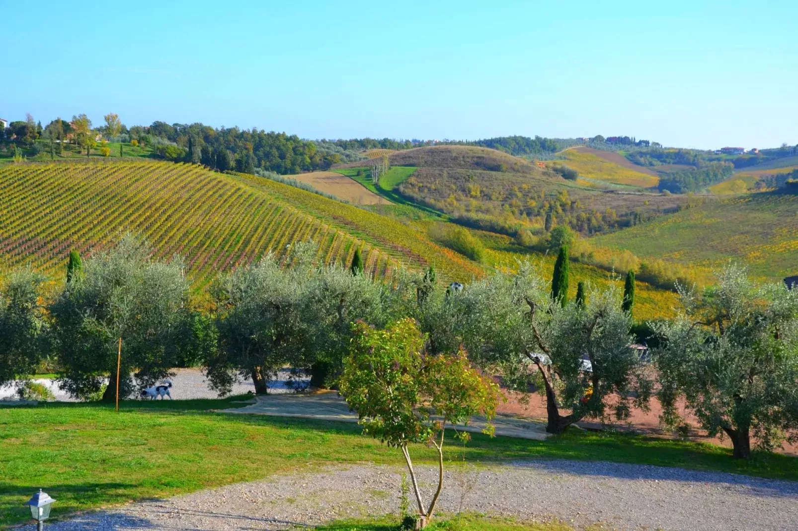 Giaggiolo-View summer