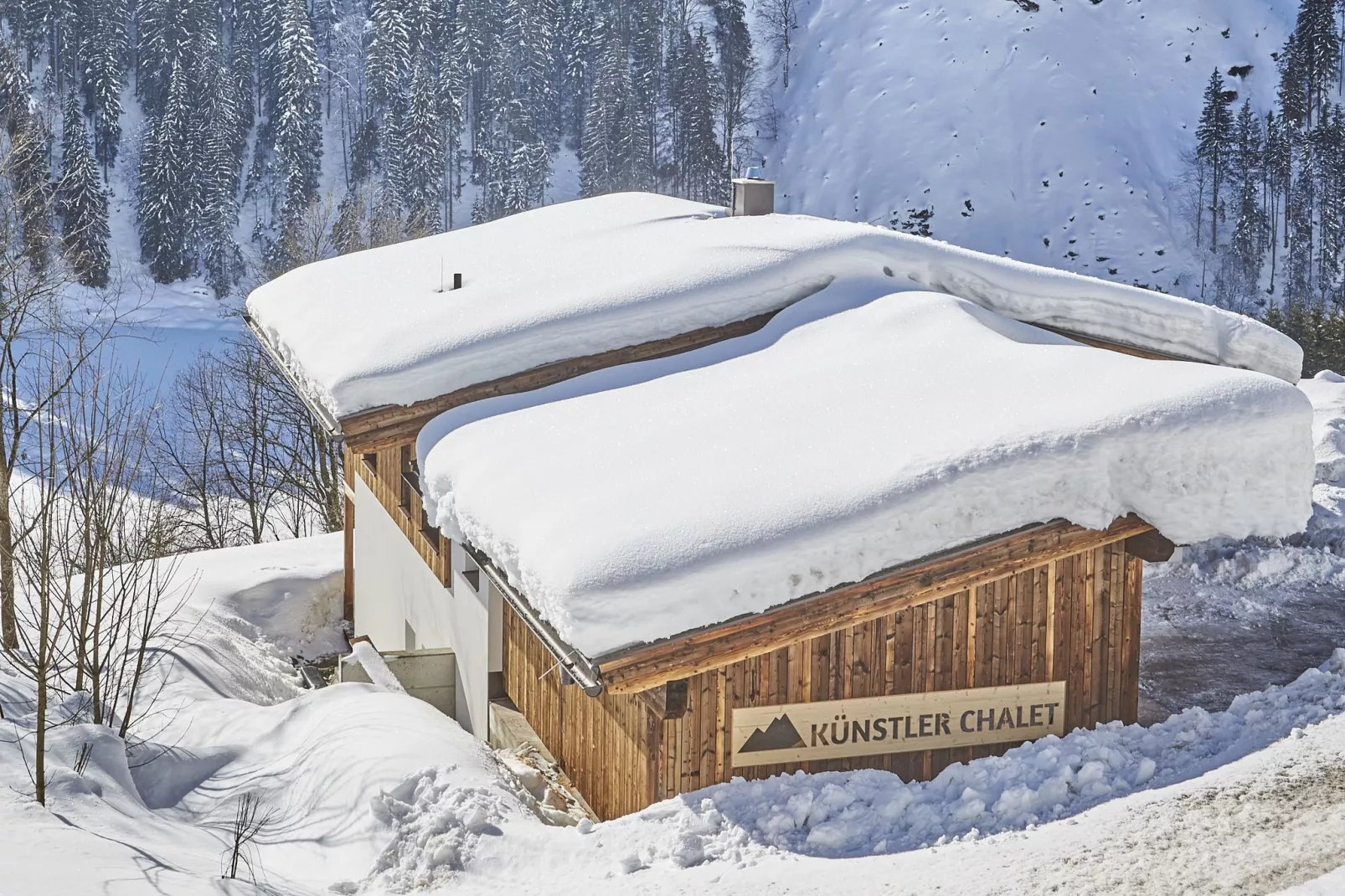 Chalet Künstler-Exterior winter