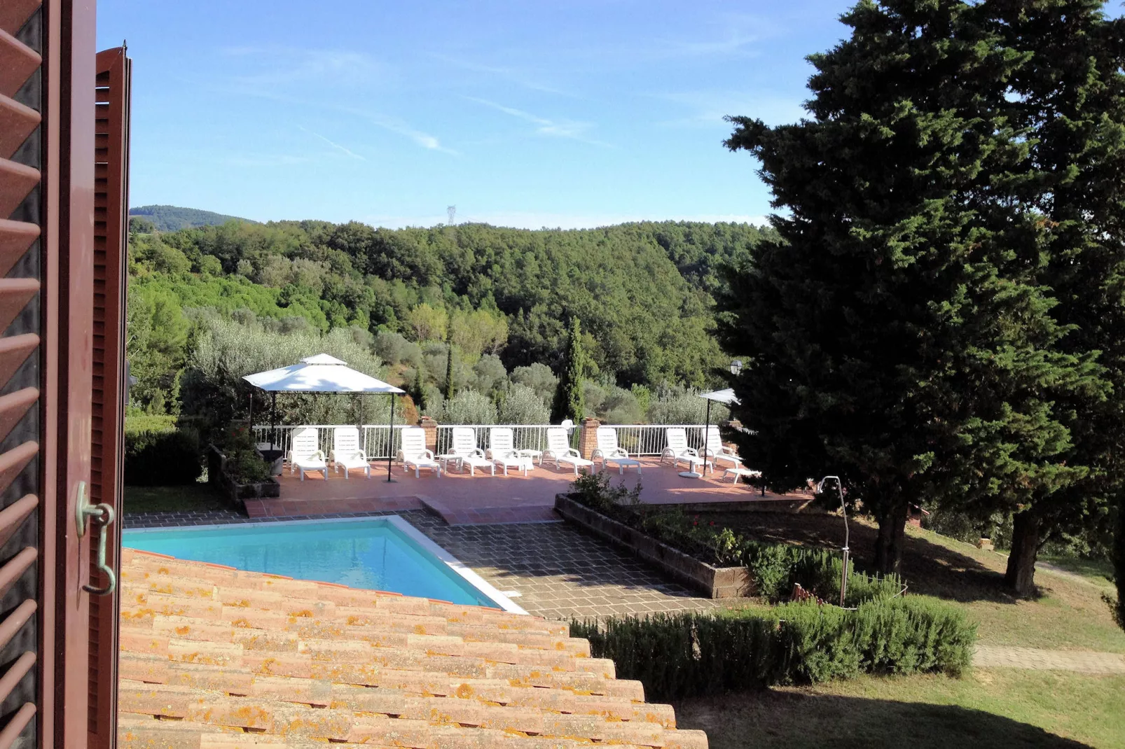 Iris-View in summer