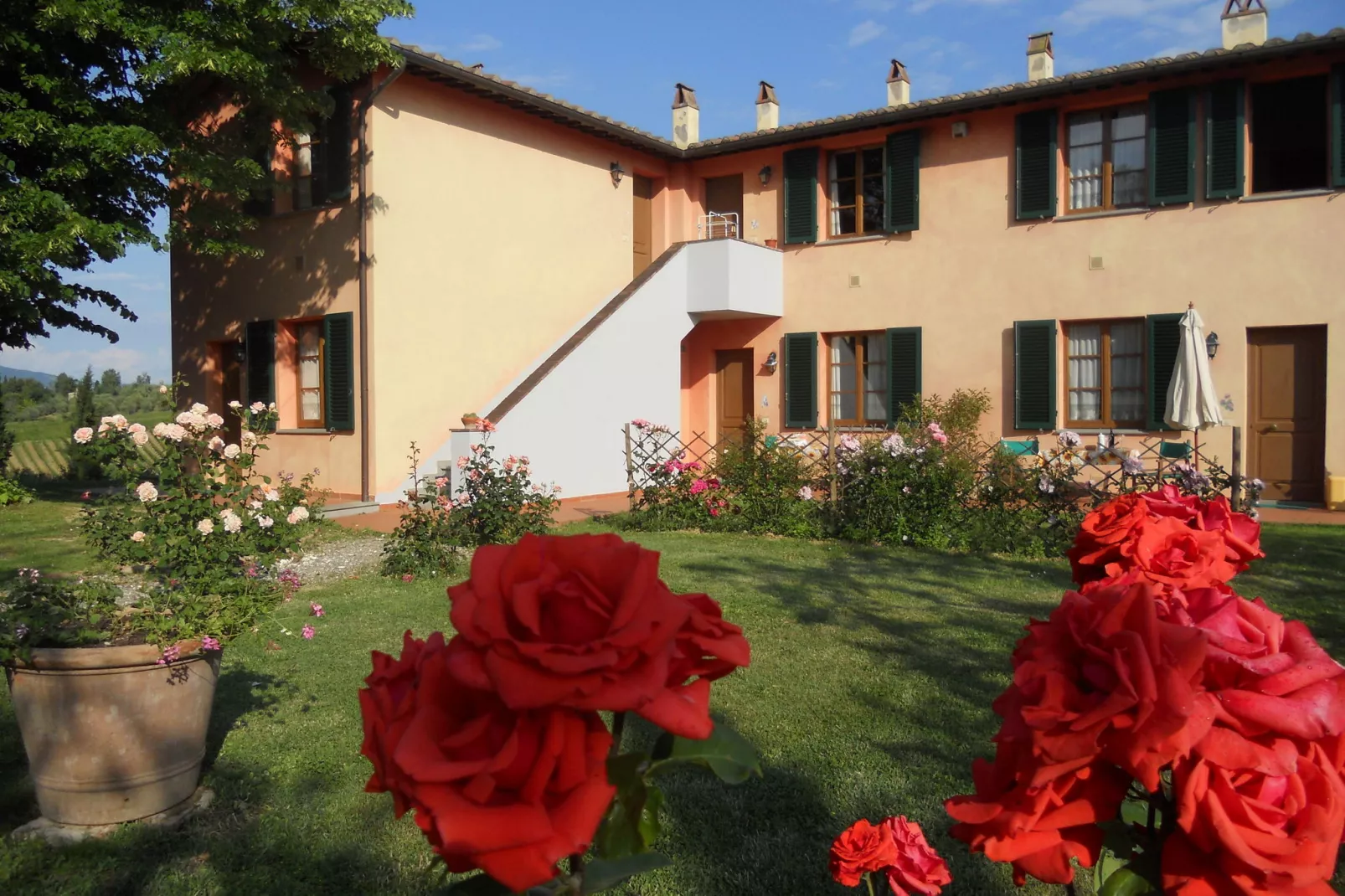 Papavero-Exterior summer