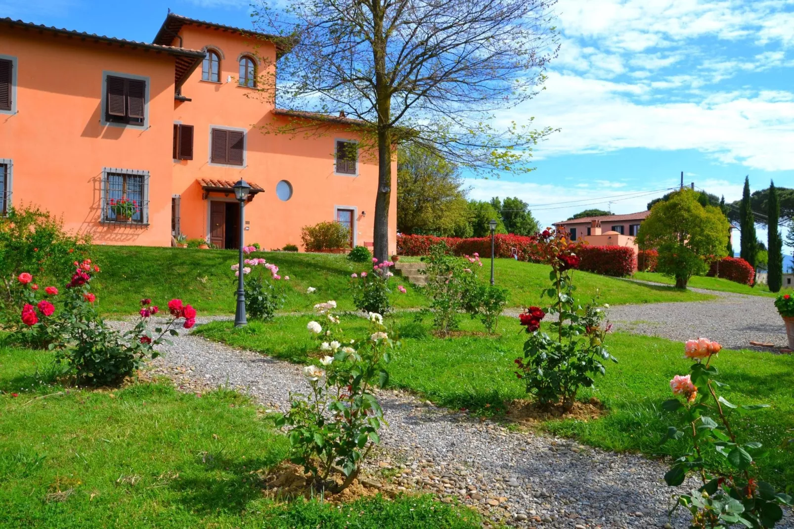 Papavero-Exterior summer