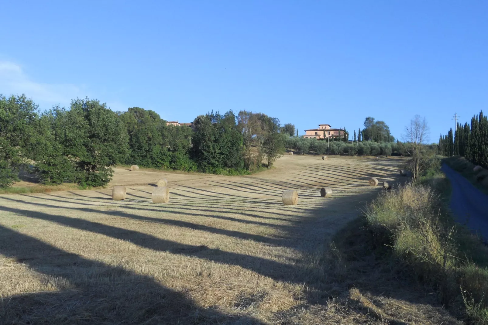 Papavero-View summer