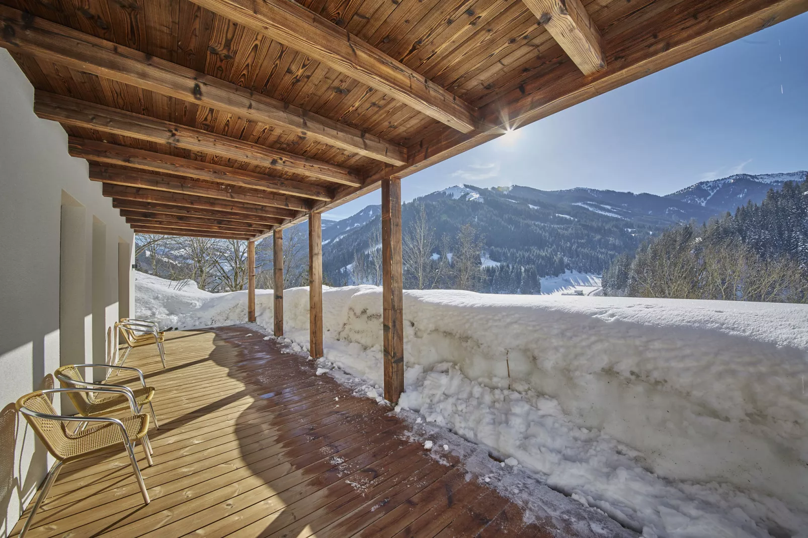 Chalet Künstler-Garden winter