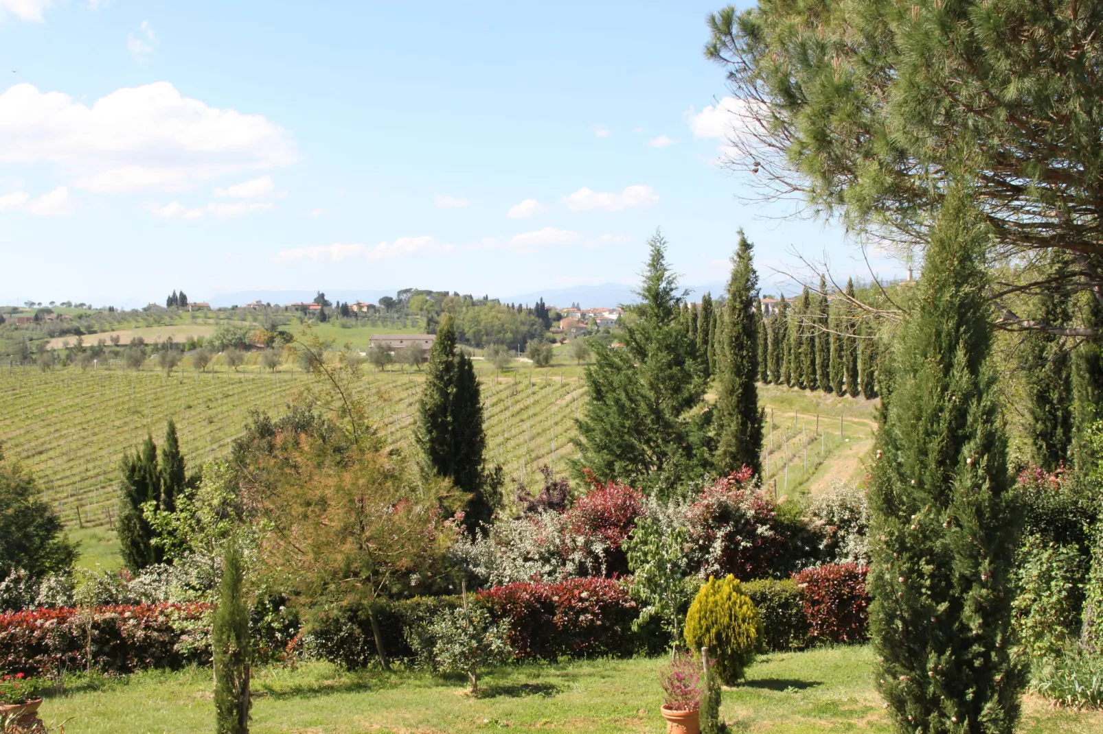 Da Vinci Cinque-View summer