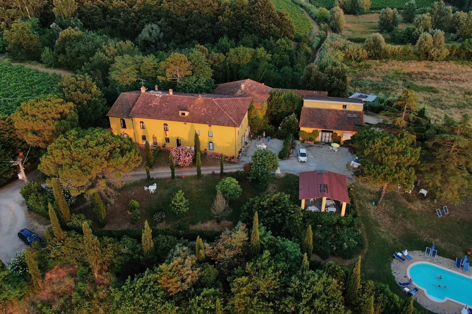 Da Vinci Cinque-View summer