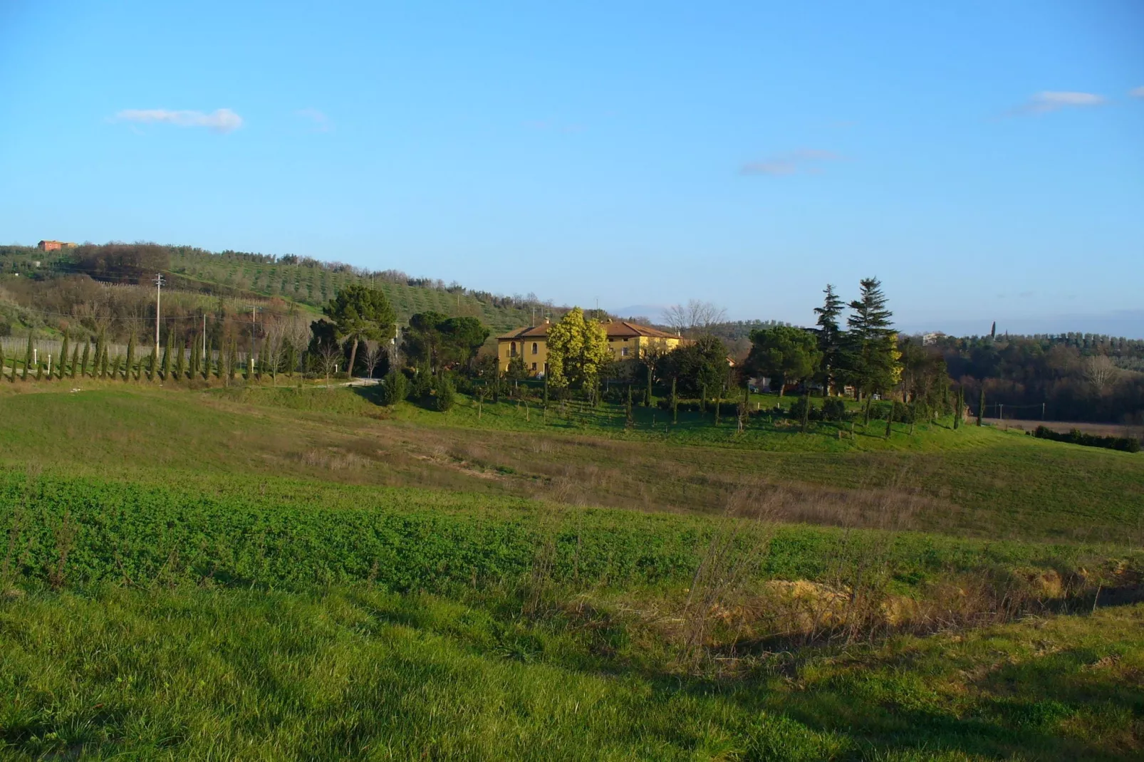 Da Vinci Cinque-Areas summer 1km