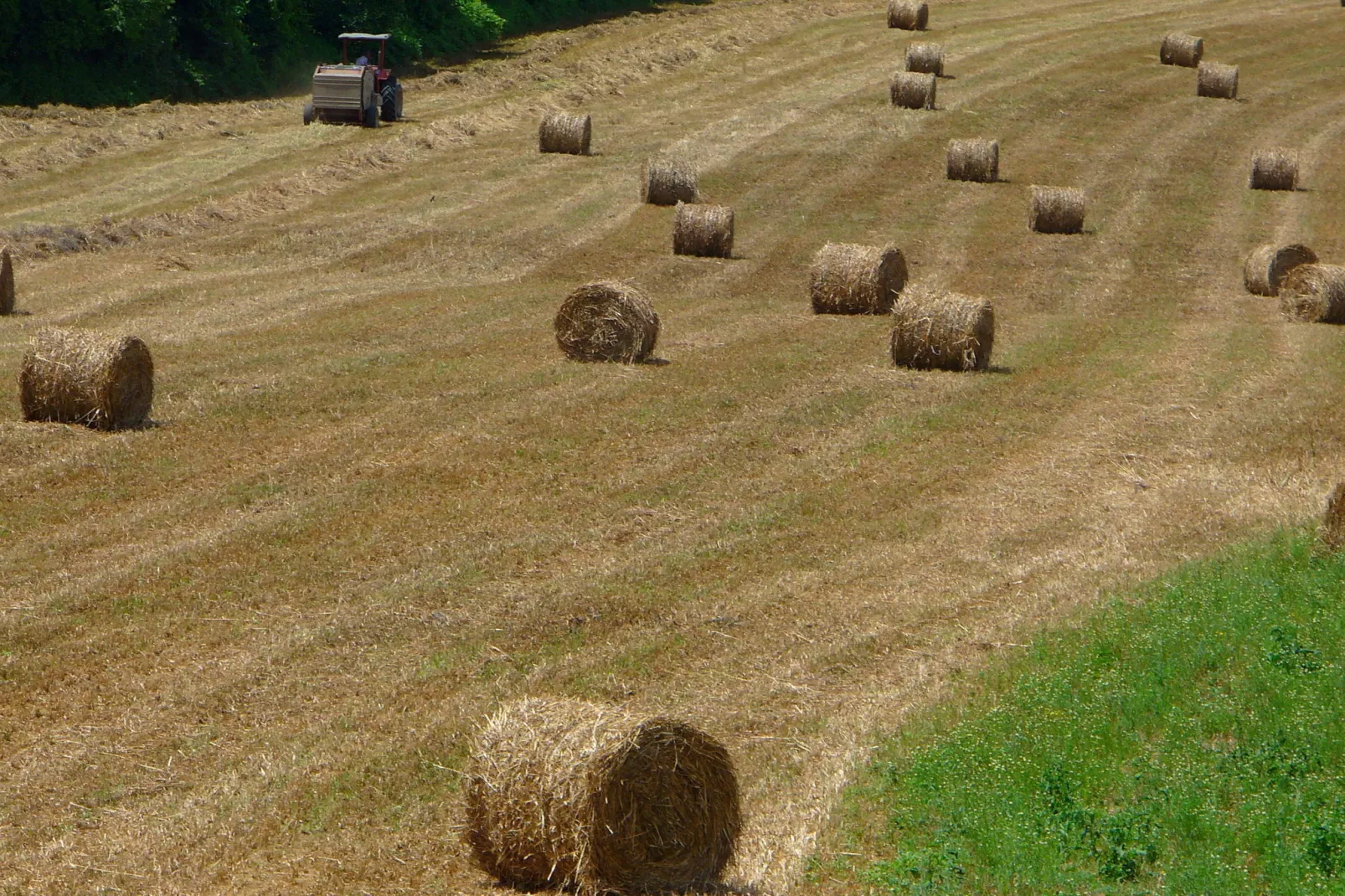 Da Vinci Cinque-Areas summer 1km