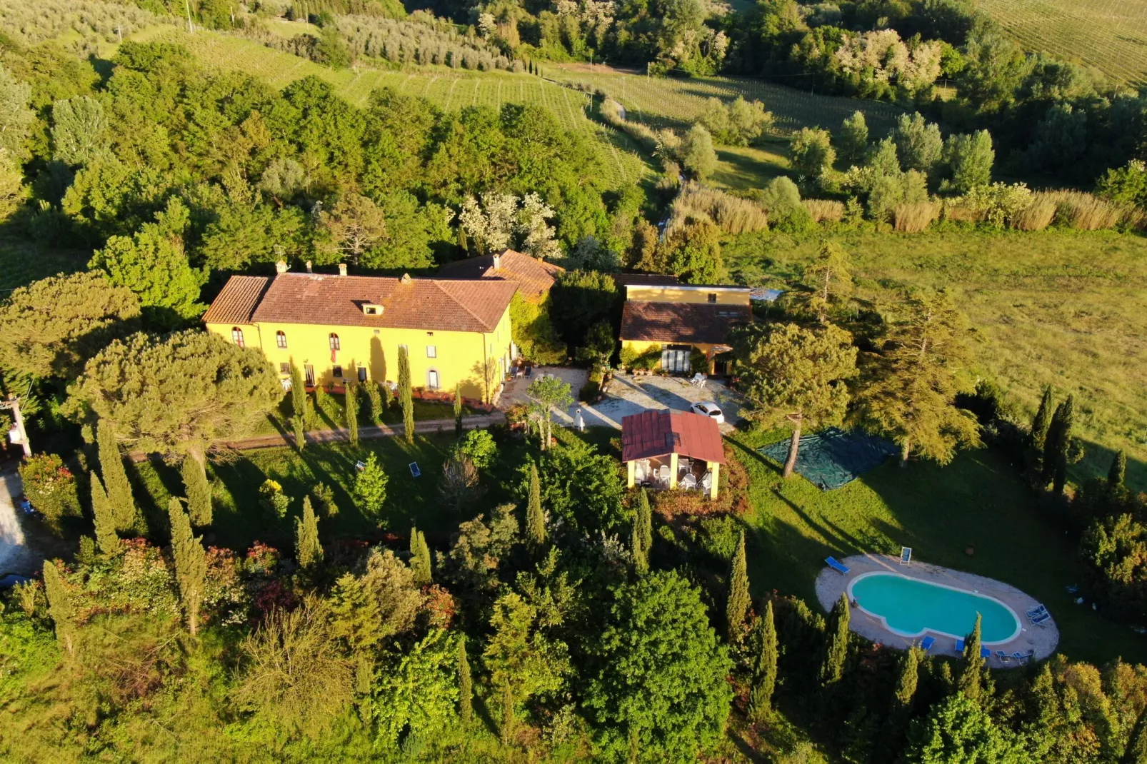 Da Vinci Due-Areas summer 1km