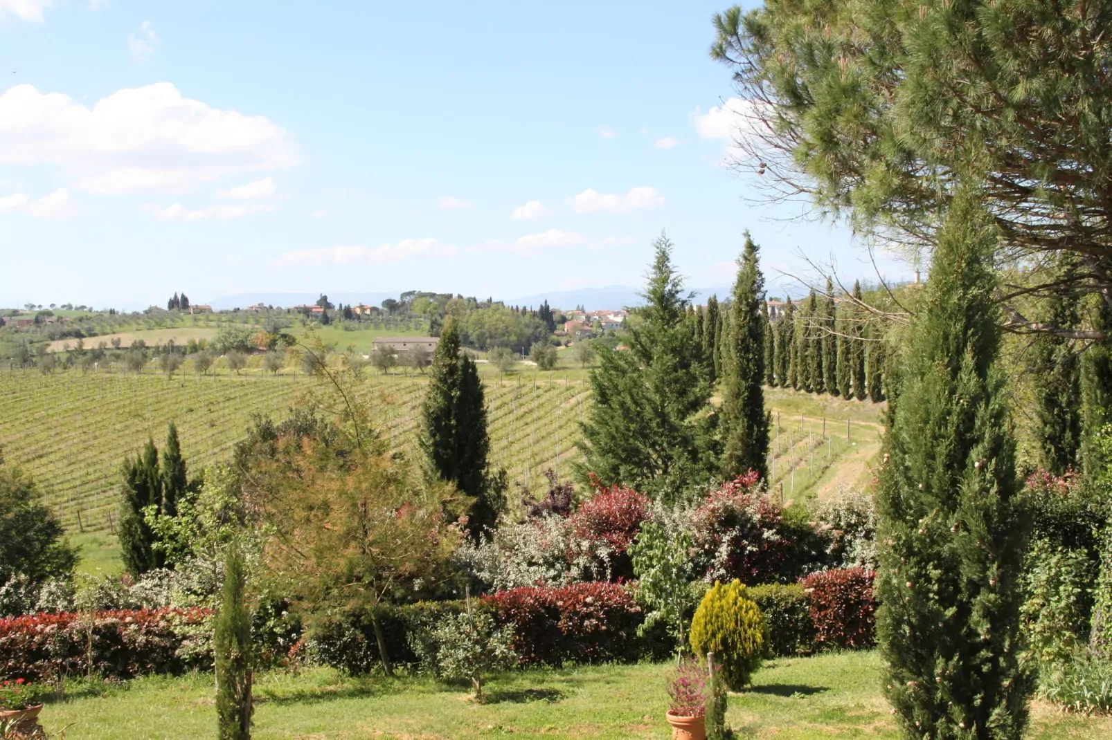 Da Vinci Quattro-View summer