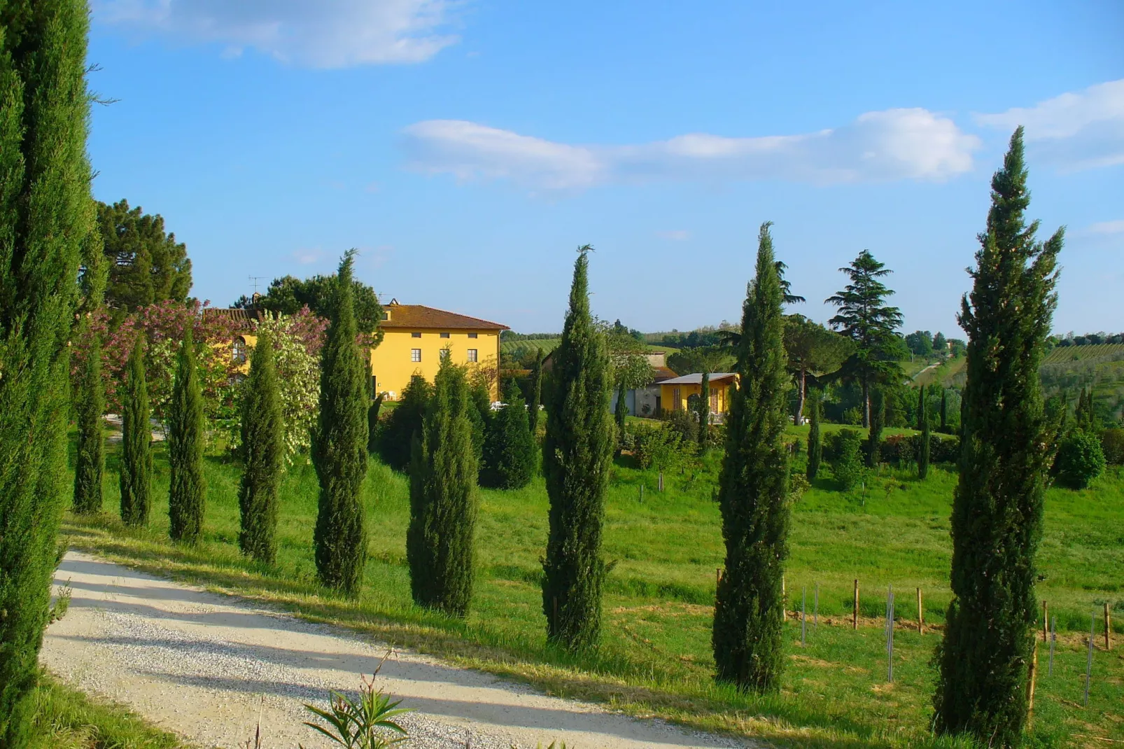 Da Vinci Quattro-Exterior summer