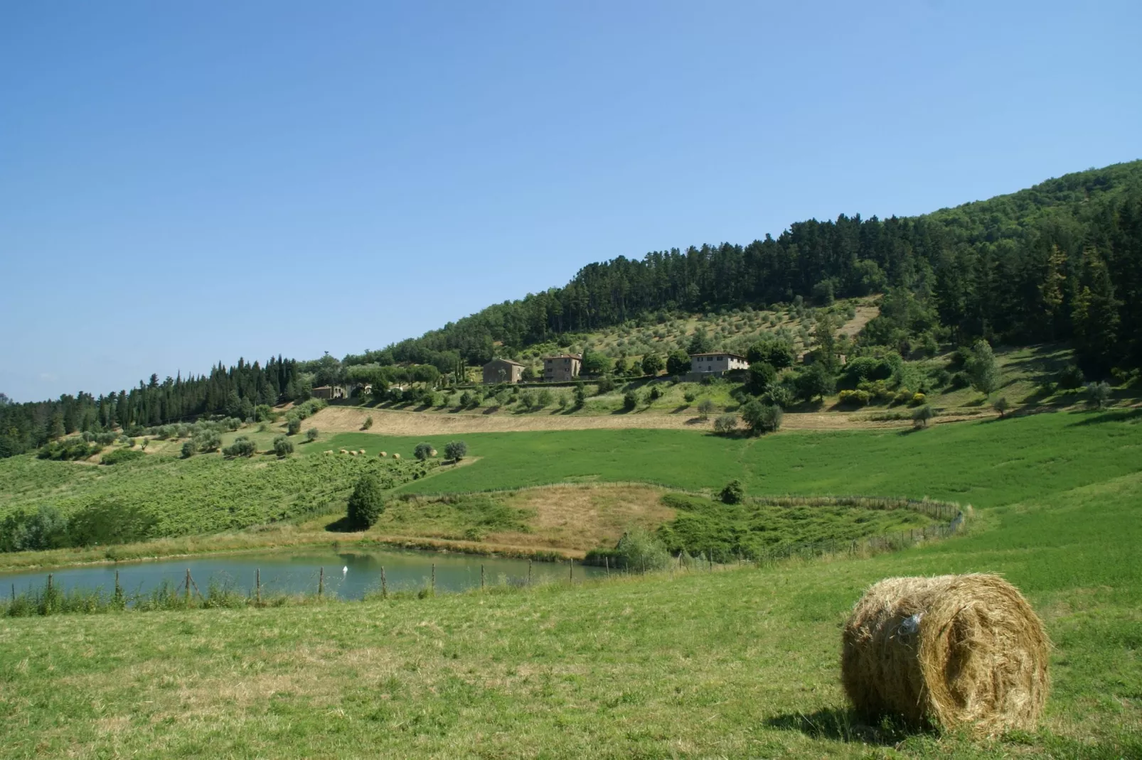 Brunelleschi-Areas summer 1km