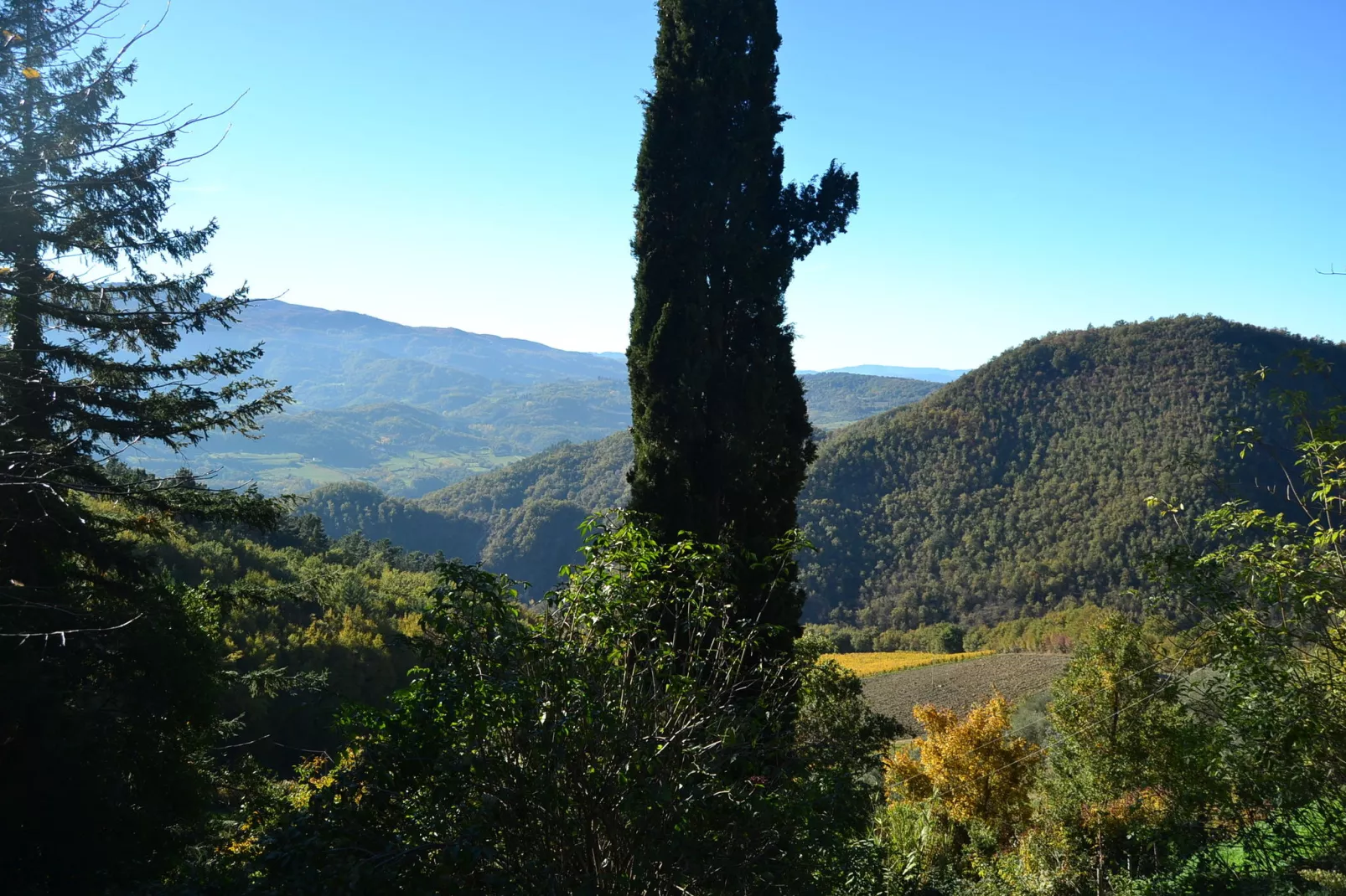 Brunelleschi-Areas summer 5km