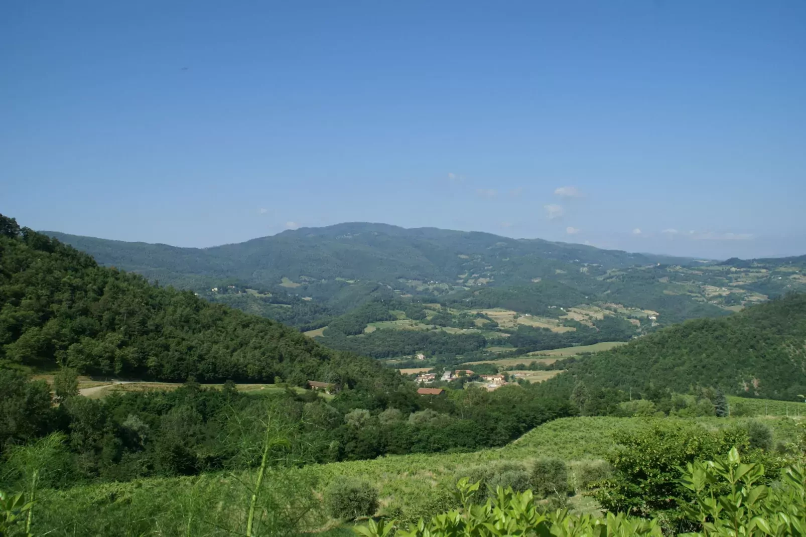Brunelleschi-Areas summer 20km