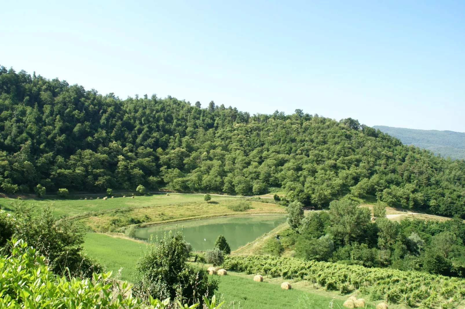 Giotto-View summer
