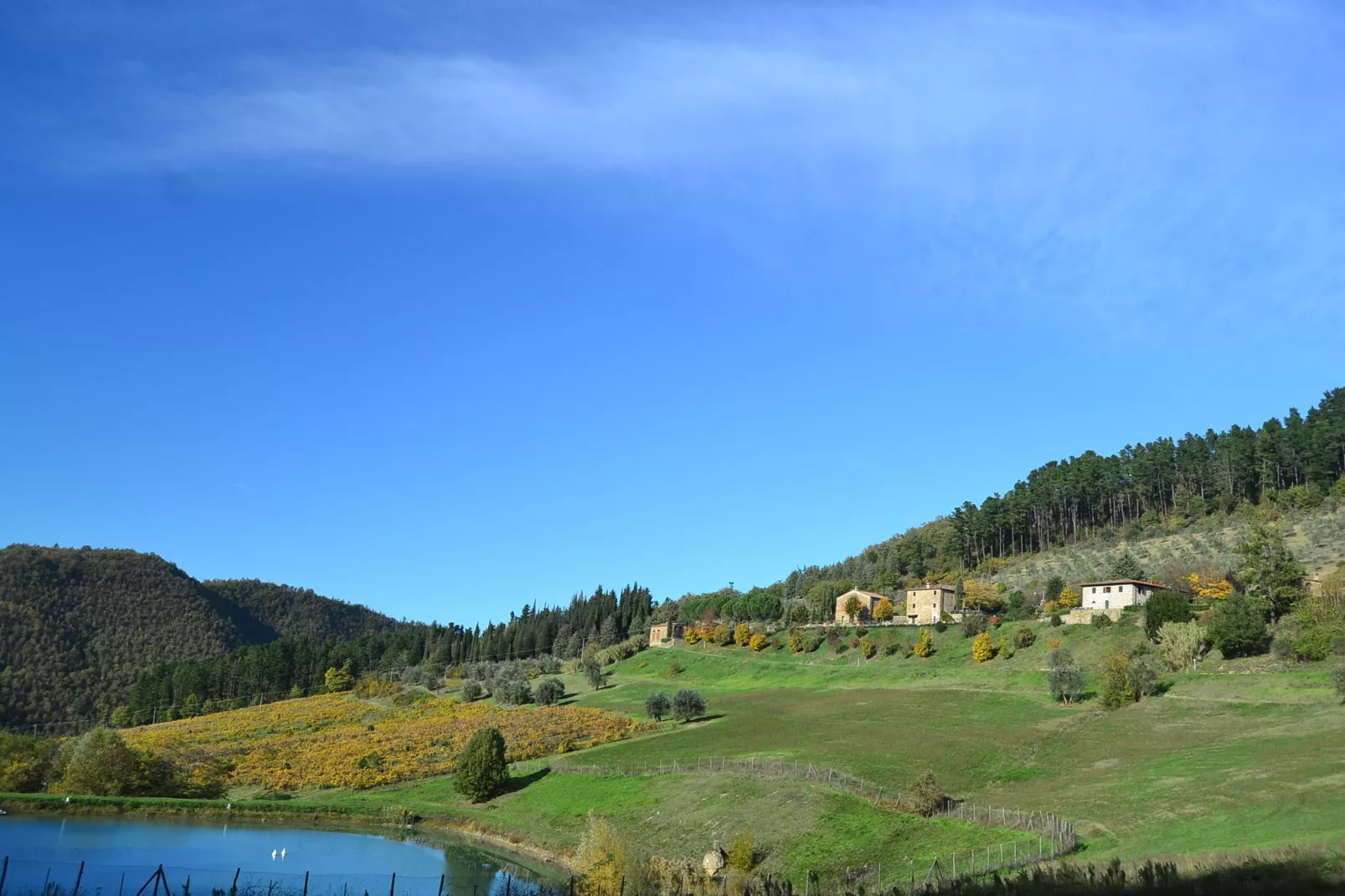 Giotto-View summer