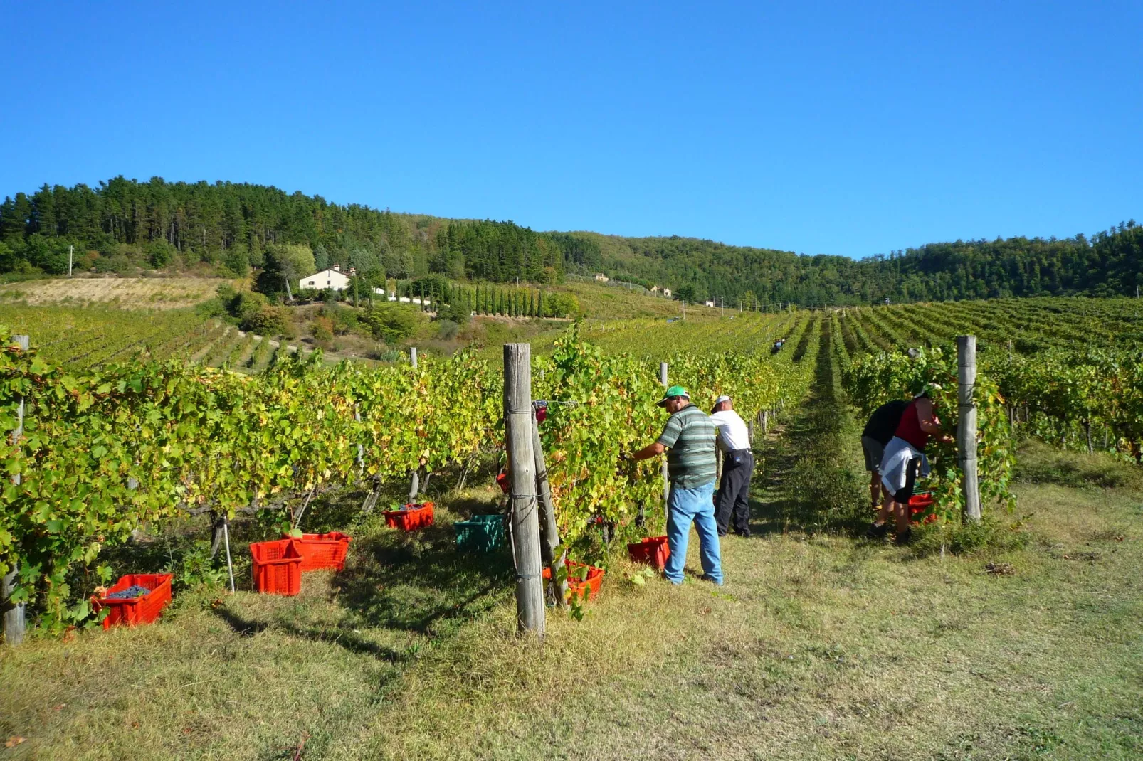 Giotto-Areas summer 1km