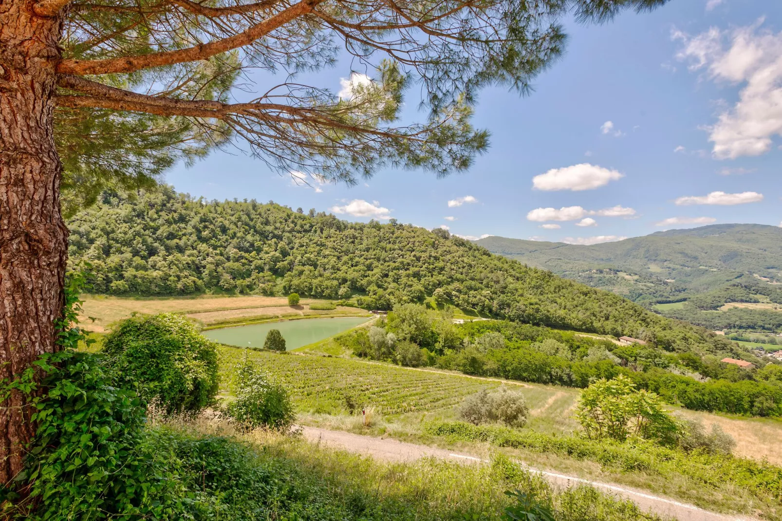 Castagno-Gebiete Sommer 1 km