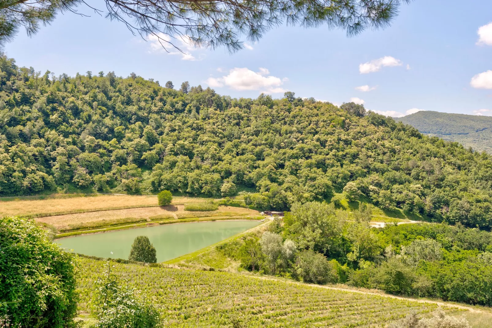 Castagno-Gebiete Sommer 1 km