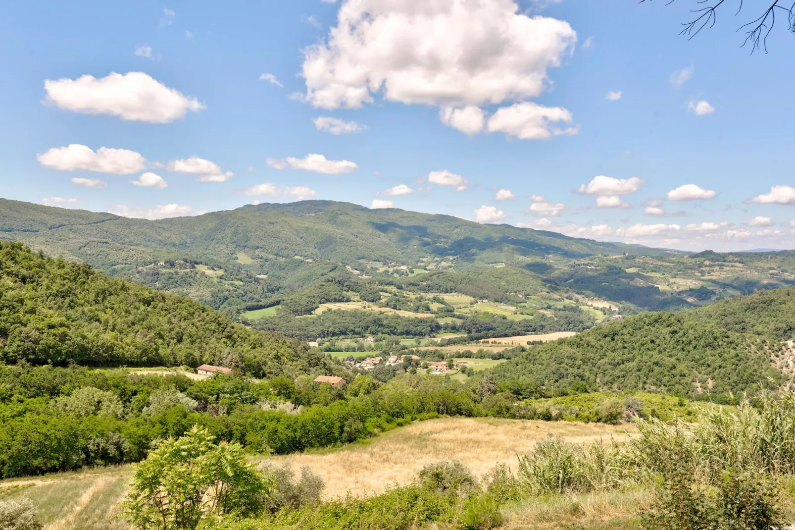 Castagno-Gebiete Sommer 1 km